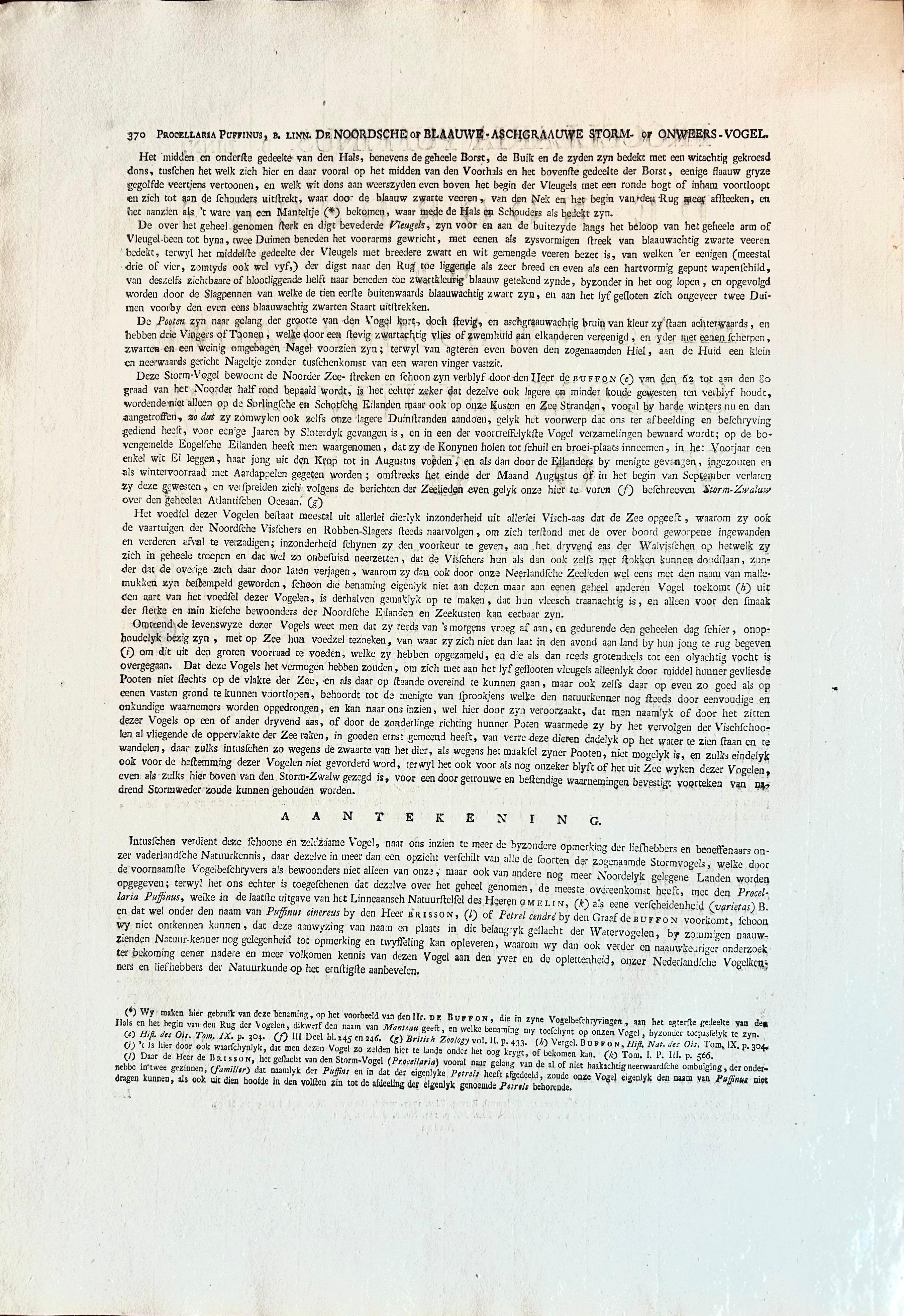 Impression ancienne d'oiseau de l'eau de mouton de Manx par Sepp & Nozeman, 1809 en vente 4