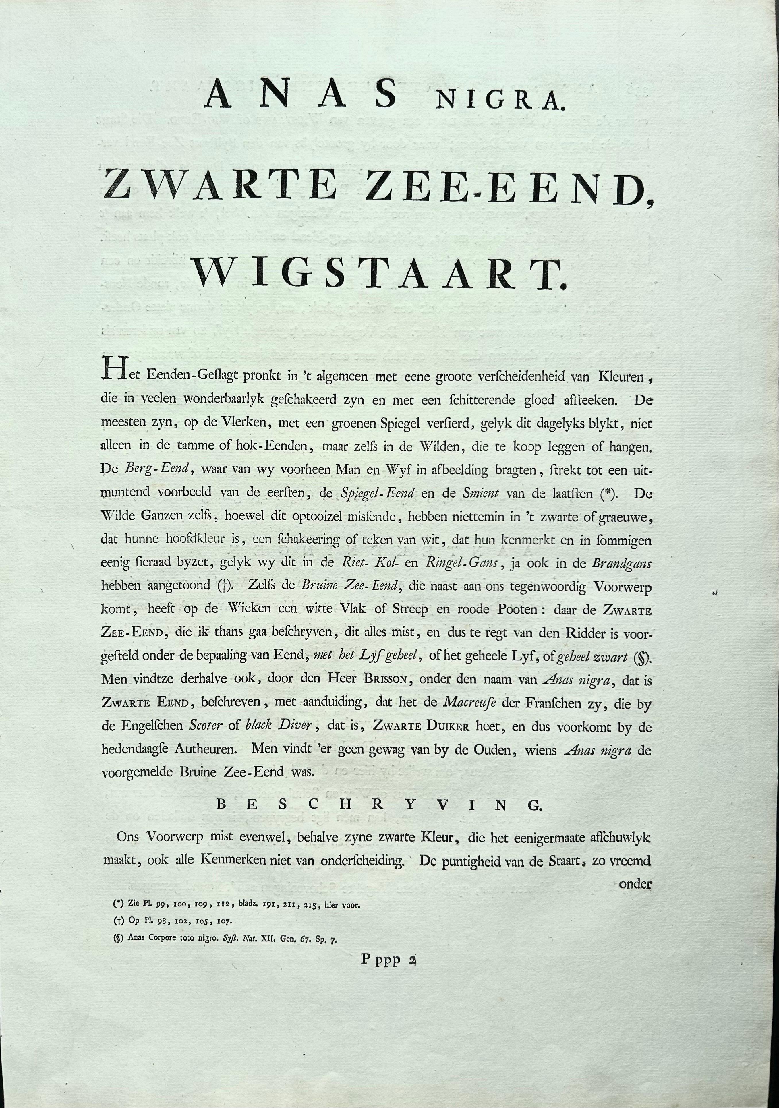 Common Scoter – Antique Bird Print ‘Anas Nigra’ by Nozeman & Sepp, 1770 For Sale 6