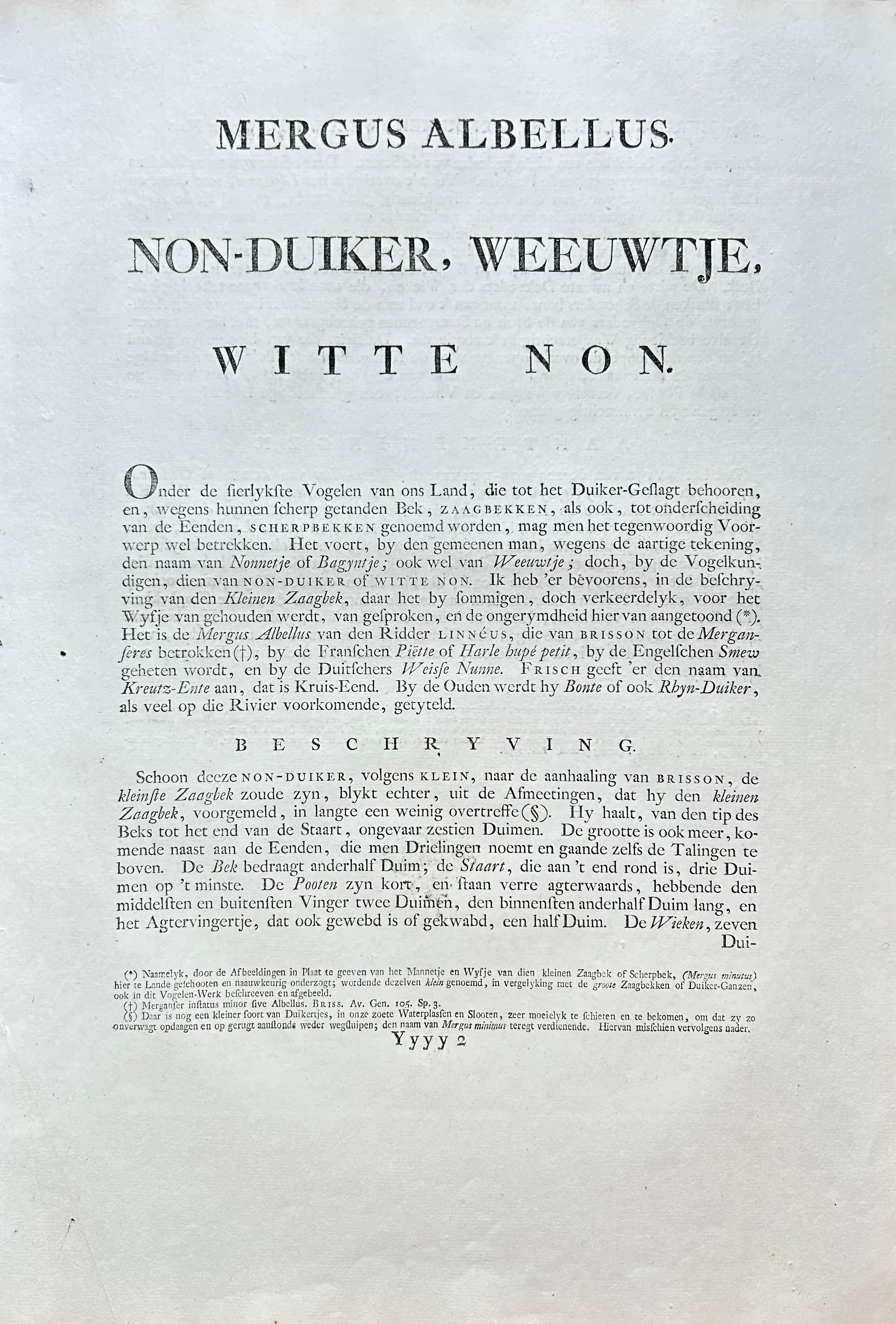 Antiker Vogeldruck eines anmutigen Smew- oder Entens von Sepp & Nozeman, 1809 im Angebot 4