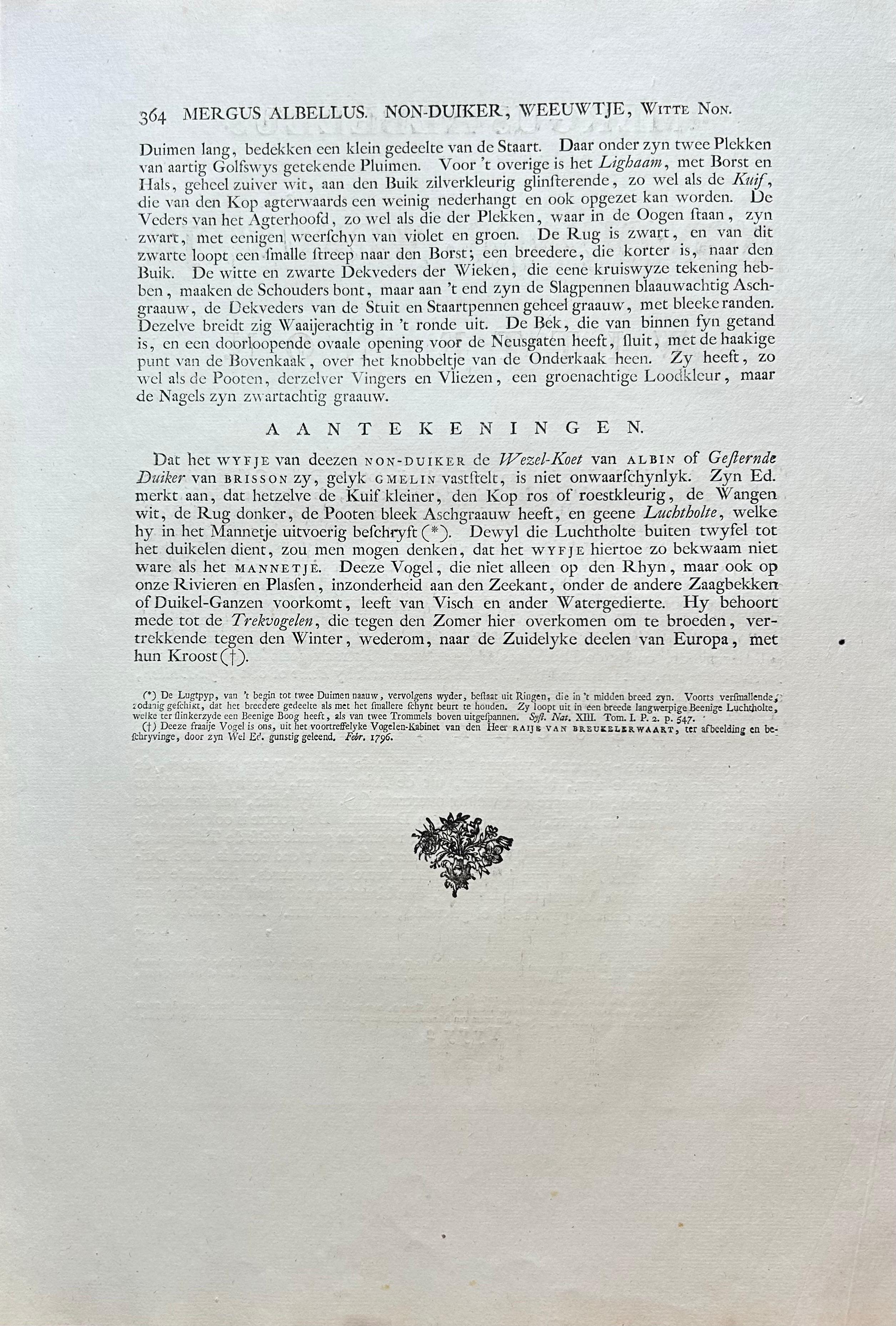 Antiker Vogeldruck eines anmutigen Smew- oder Entens von Sepp & Nozeman, 1809 im Angebot 5