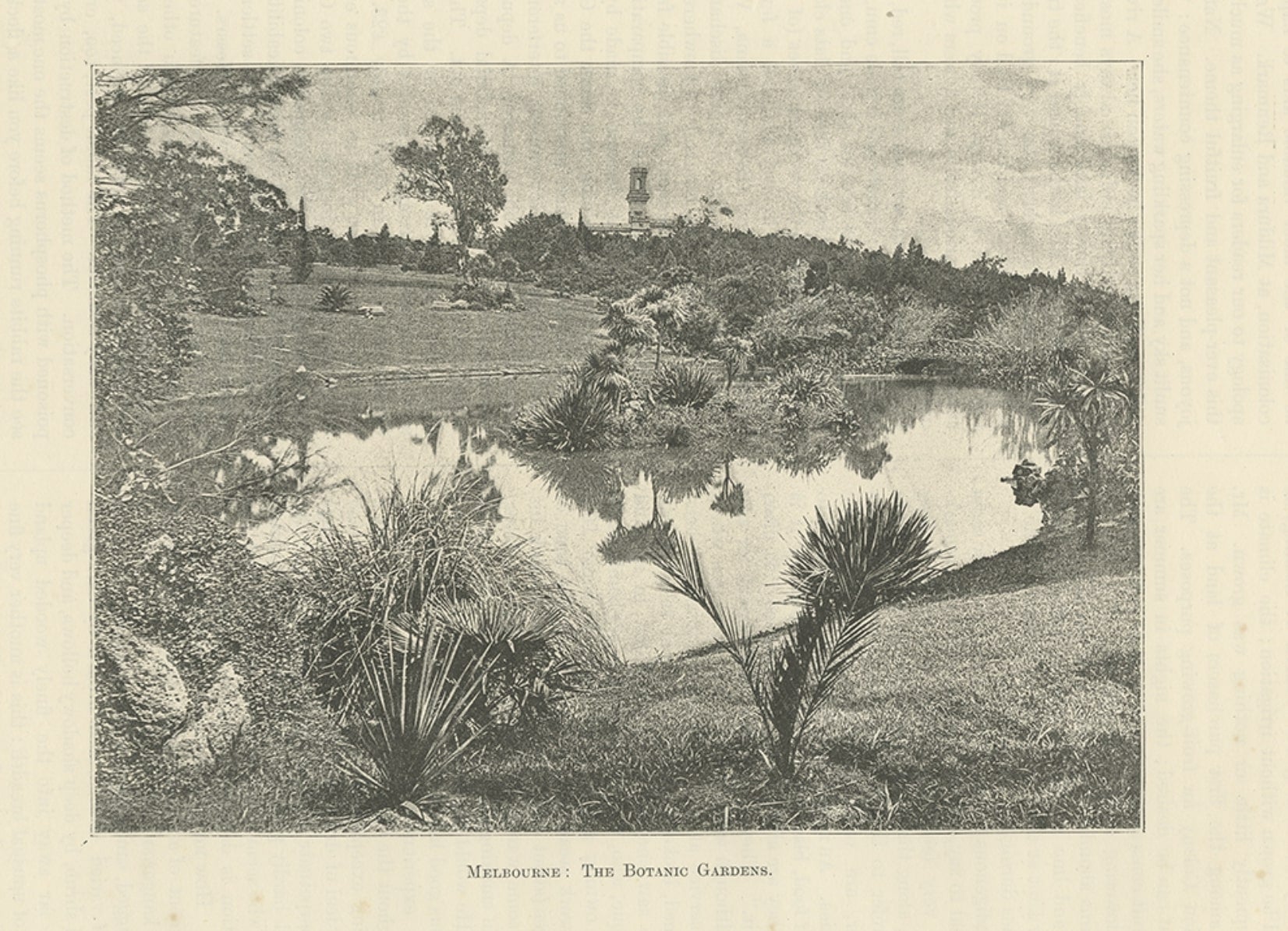 Grabado antiguo del Real Jardín Botánico de Melbourne, Australia, c.1890 en venta