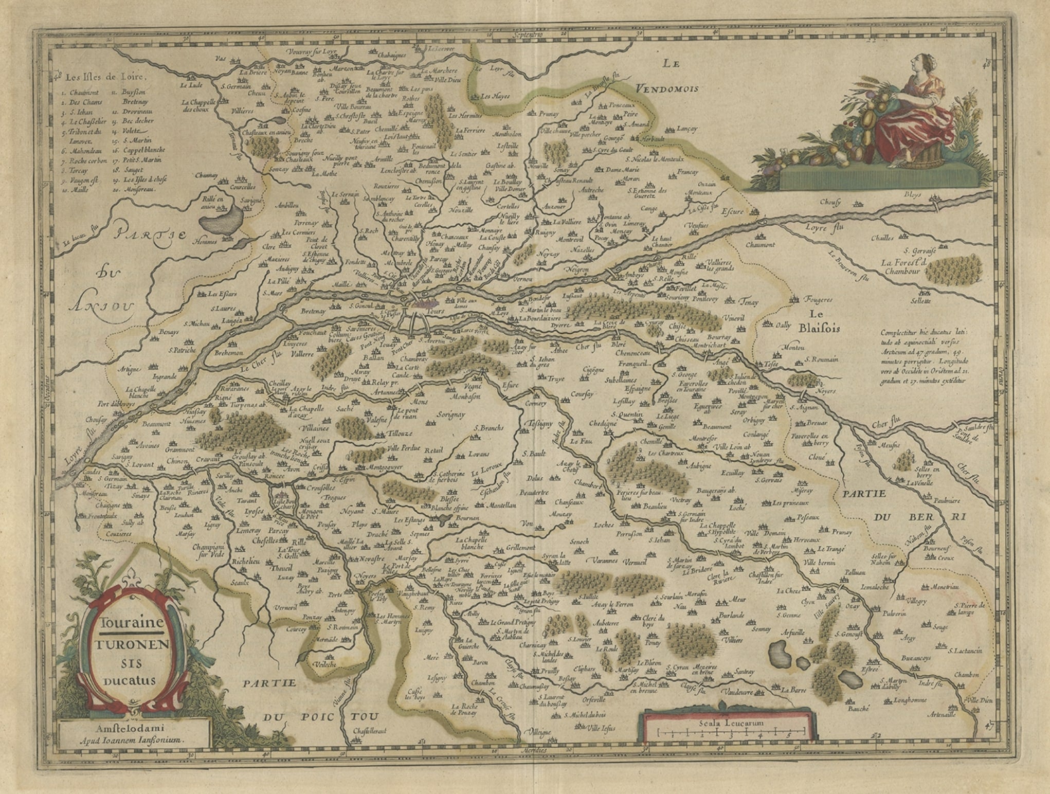 Antique Map of the Region of Touraine in France by Janssonius, 1657 For Sale