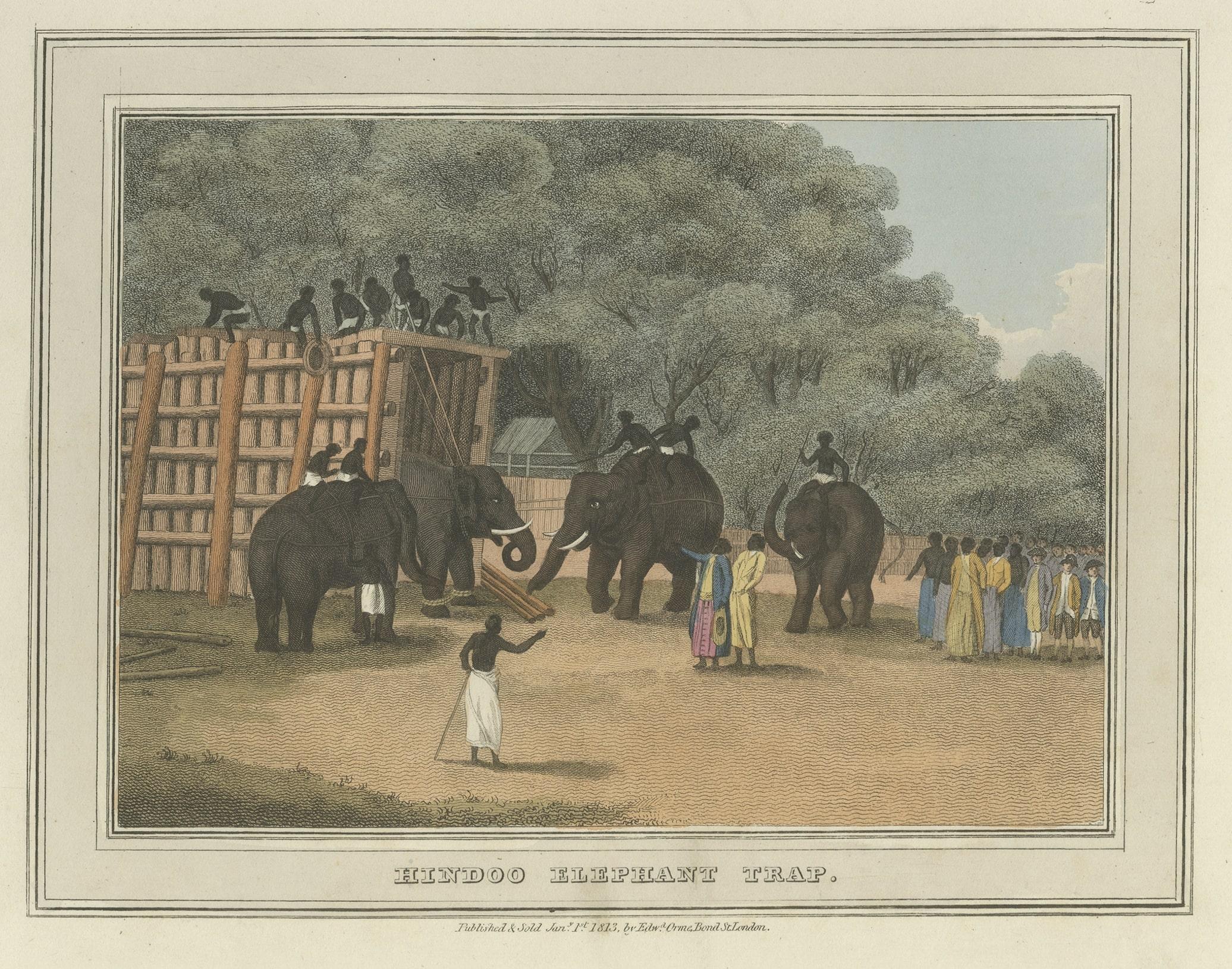 Paper Four Fine Hand-Colored Engravings Depicting the Use of Elephants in India, 1813