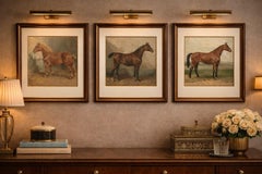 Antique Suffolk Punch Horse Portrait, Belgian Equestrian Lithograph 1898