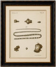Original Antique Print of Tapeworm and Parasites by Bertuch, circa 1800
