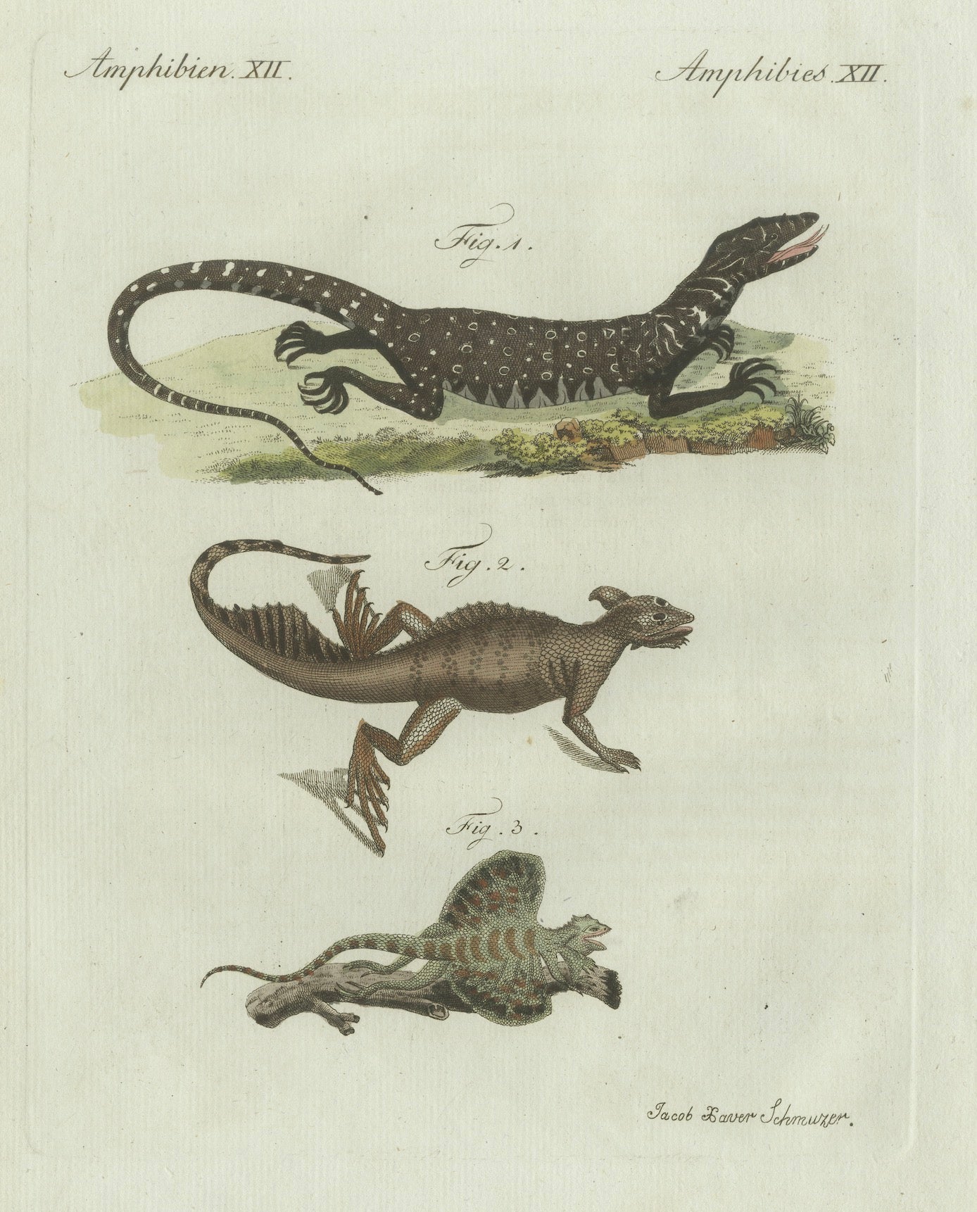 Original Antique Print of Exotic Lizards and Flying Dragon by Bertuch, c. 1800