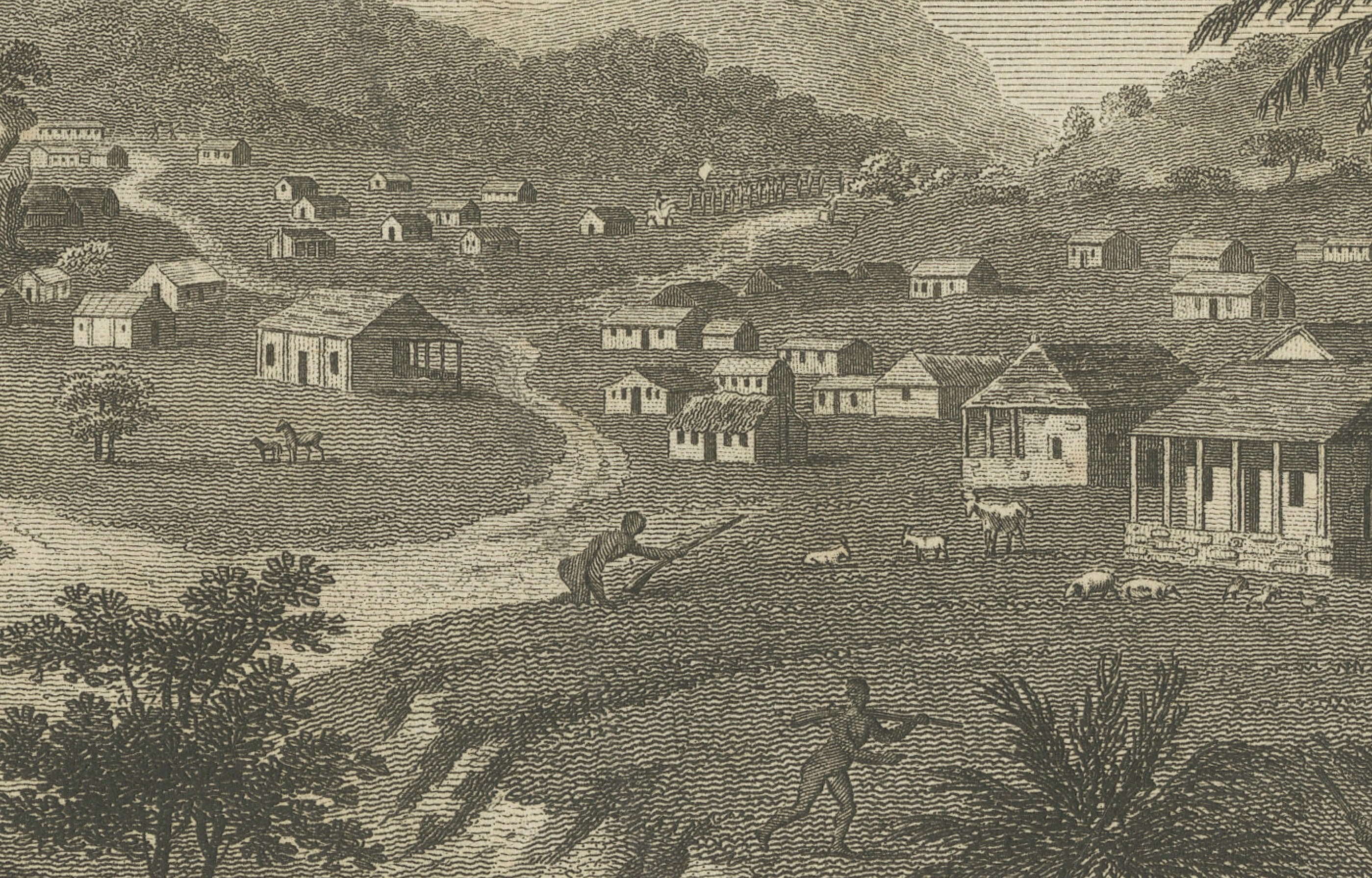 Antique View of Trelawney Town, Jamaica Maroons, Bryan Edwards, 1818
