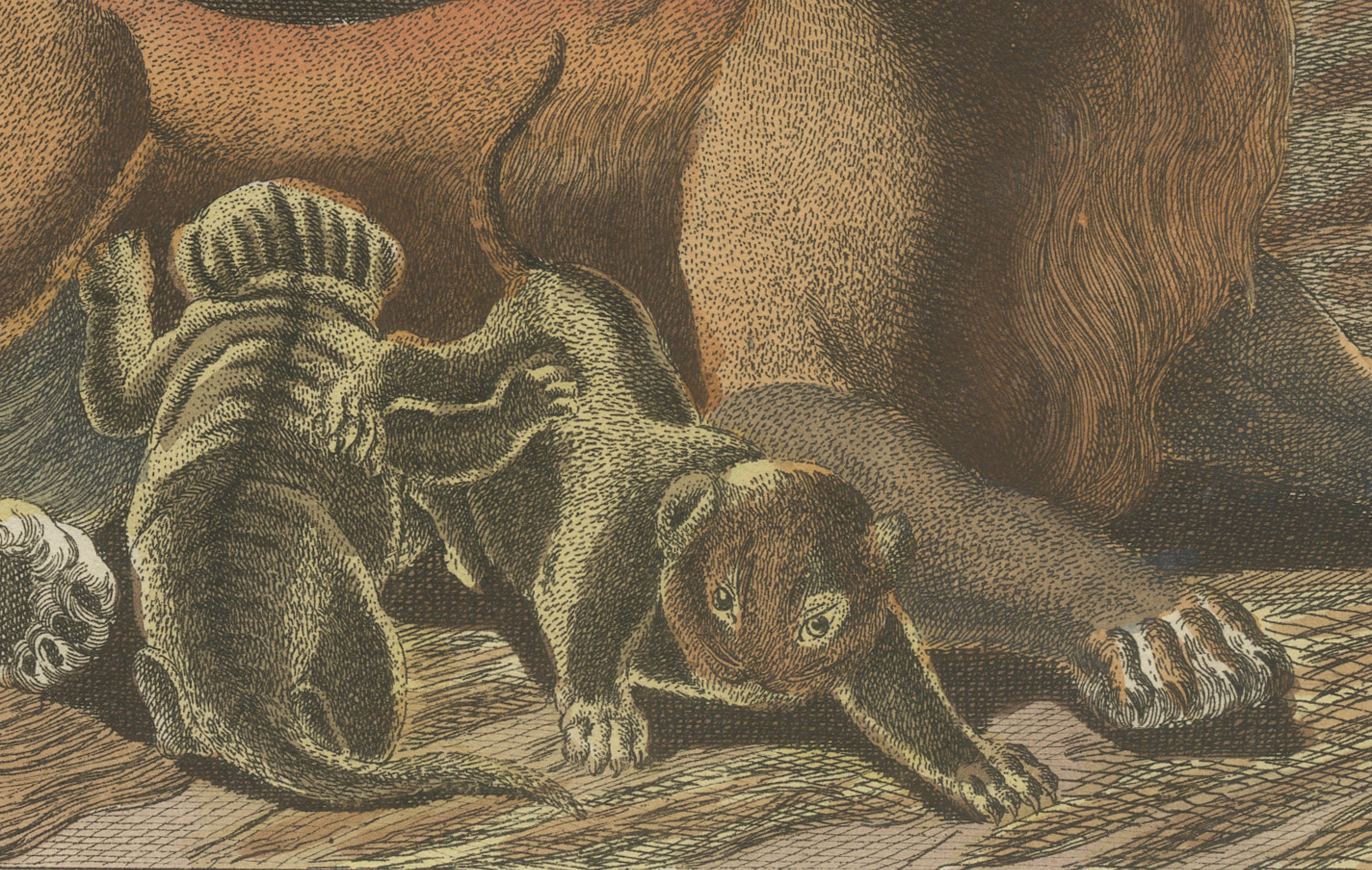Original Antique Print of a Lioness and Her Cubs by Bertuch, 1810