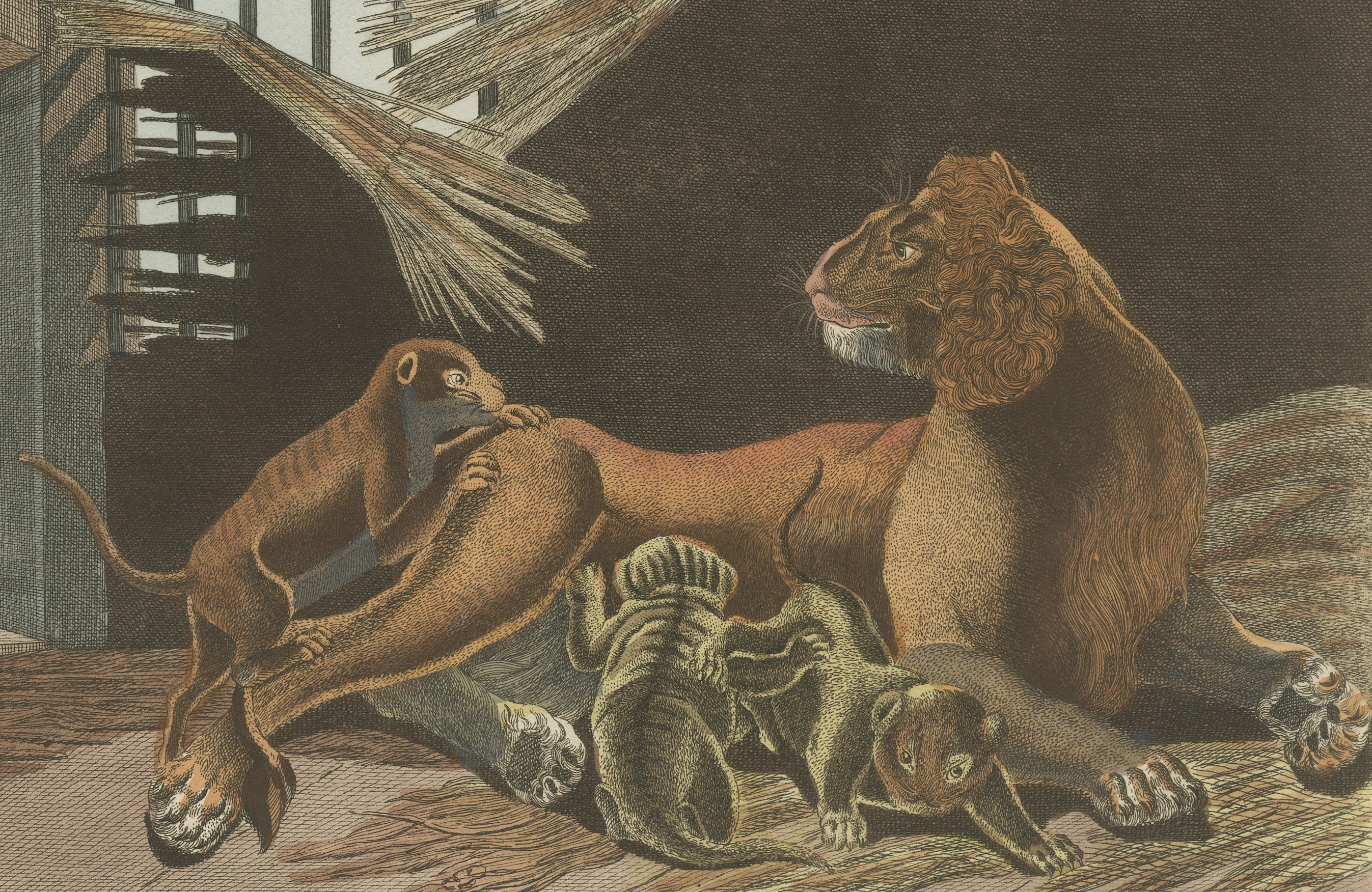 Original Antique Print of a Lioness and Her Cubs by Bertuch, 1810