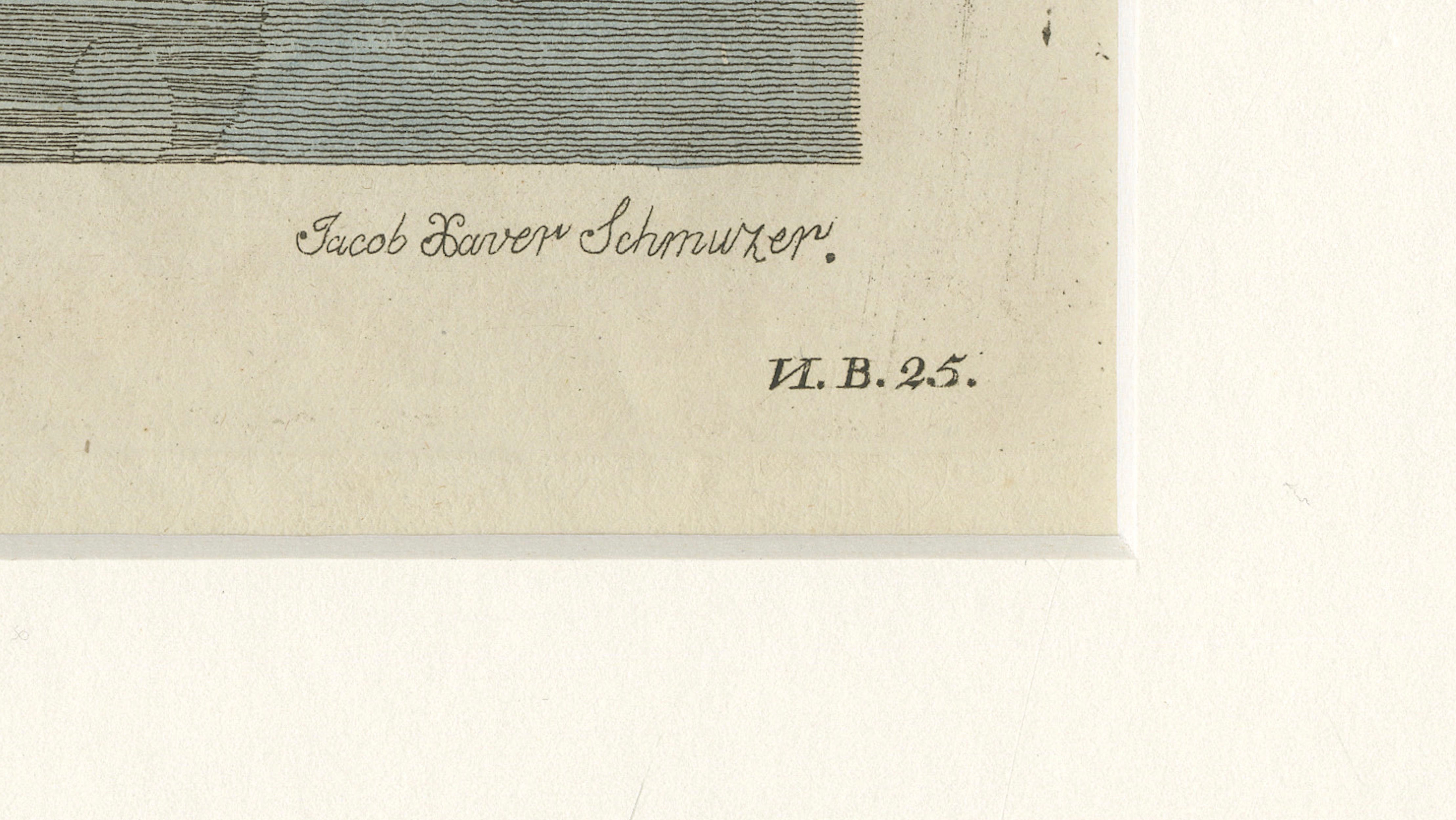Antique Greater Rhea & Black Swan Engraving – Bertuch, 1798
