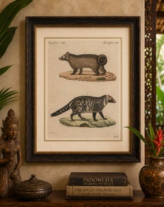 Antique Asian Civets & Kopi Luwak Natural History Engraving – Bertuch, 1820