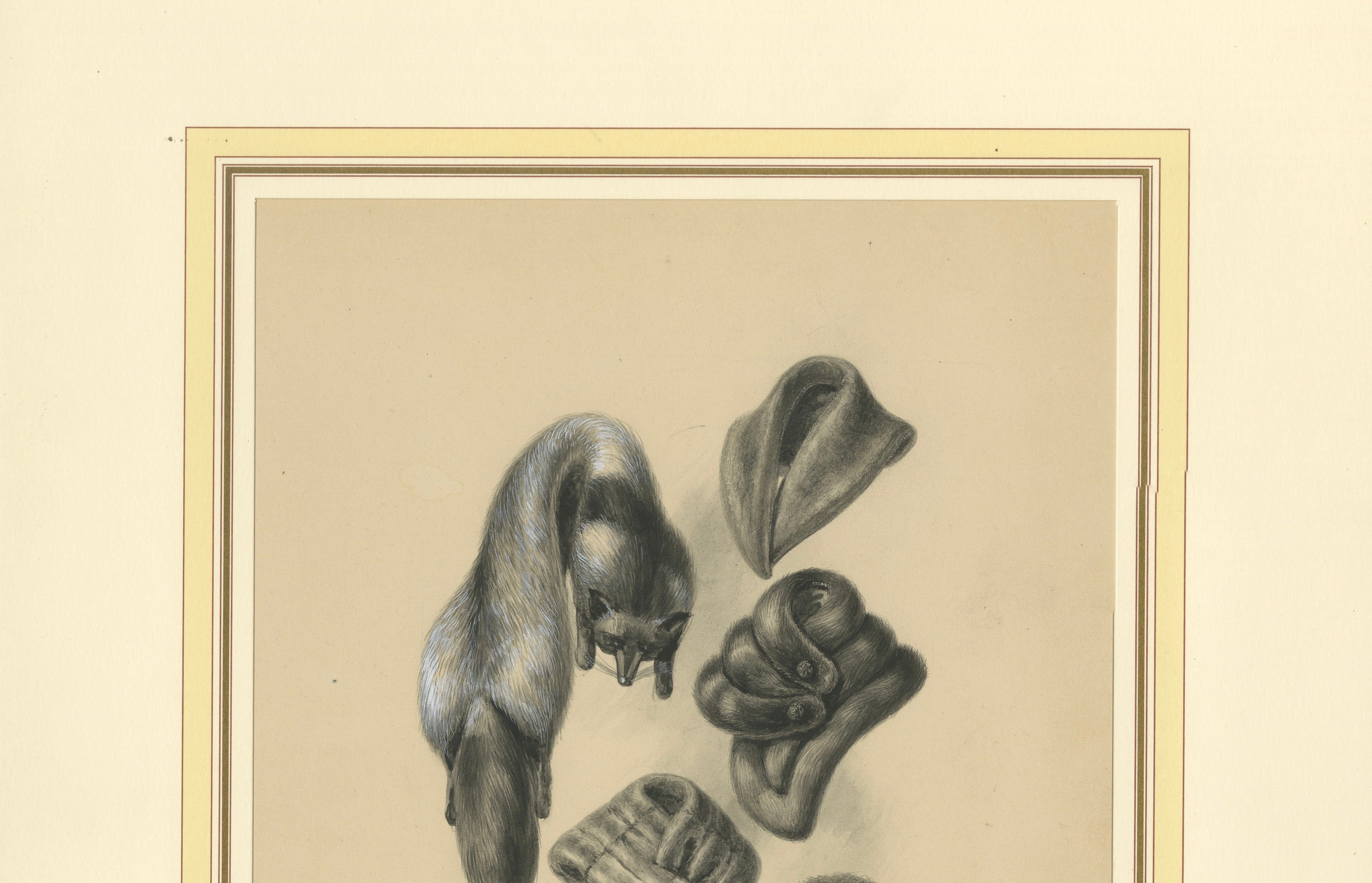 French Art Nouveau Fashion Design of Fur Collars and Stoles, c.1910