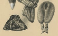 French Art Nouveau Fashion Design of Fur Collars and Stoles, c.1910, view 7