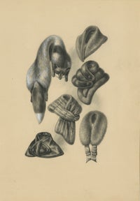 French Art Nouveau Fashion Design of Fur Collars and Stoles, c.1910, view 4