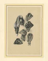 French Art Nouveau Fashion Design of Fur Collars and Stoles, c.1910, view 3