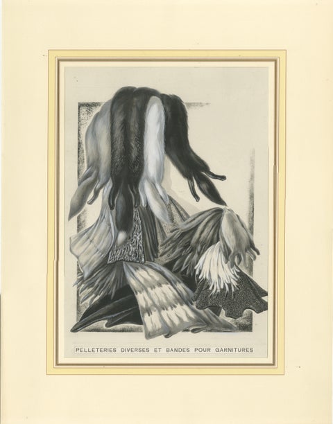 French Art Nouveau Fashion Design of Fur Pelts and Trimmings, c. 1910