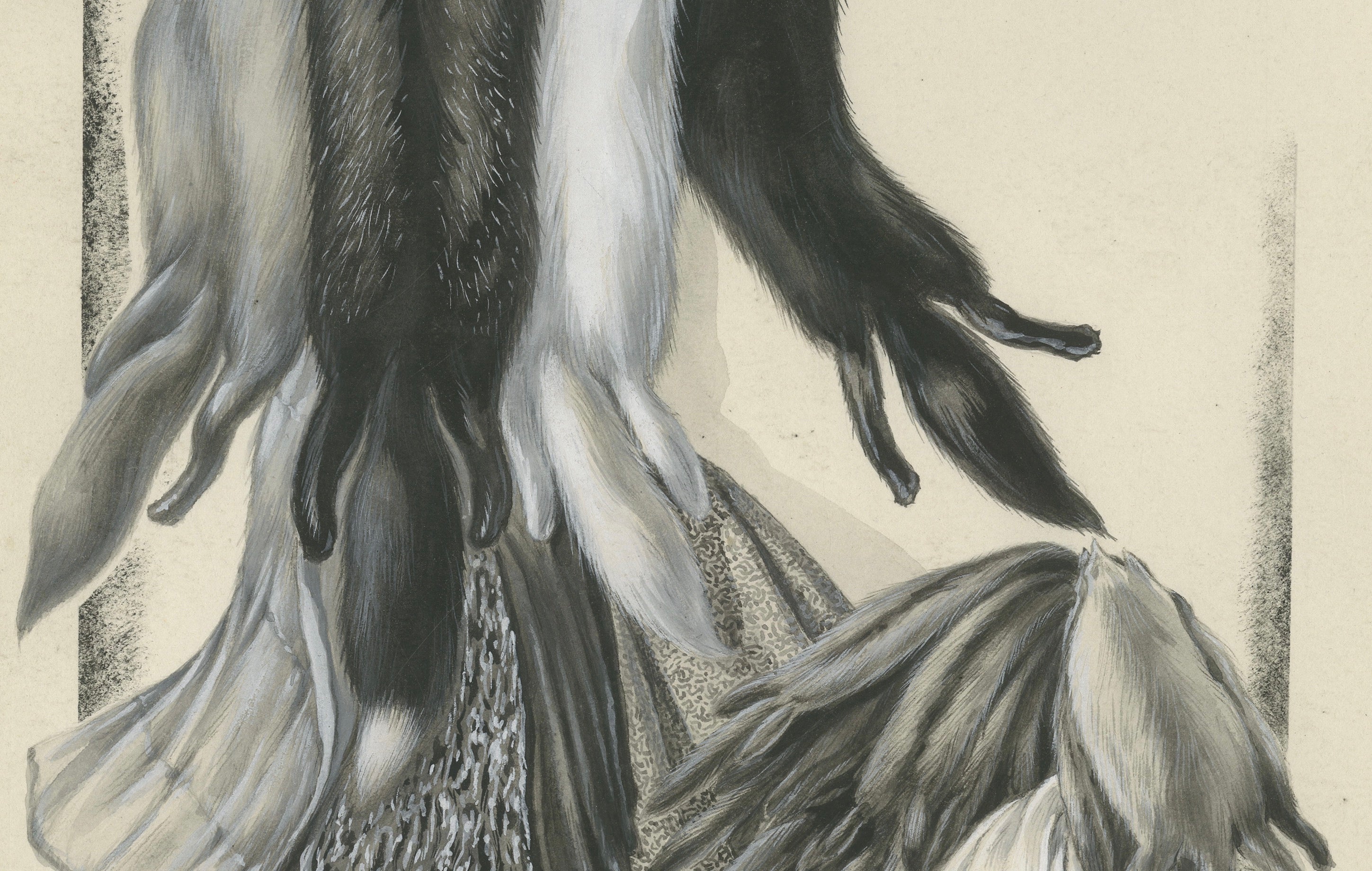 French Art Nouveau Fashion Design of Fur Pelts and Trimmings, c. 1910