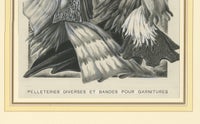 French Art Nouveau Fashion Design of Fur Pelts and Trimmings, c. 1910, view 6