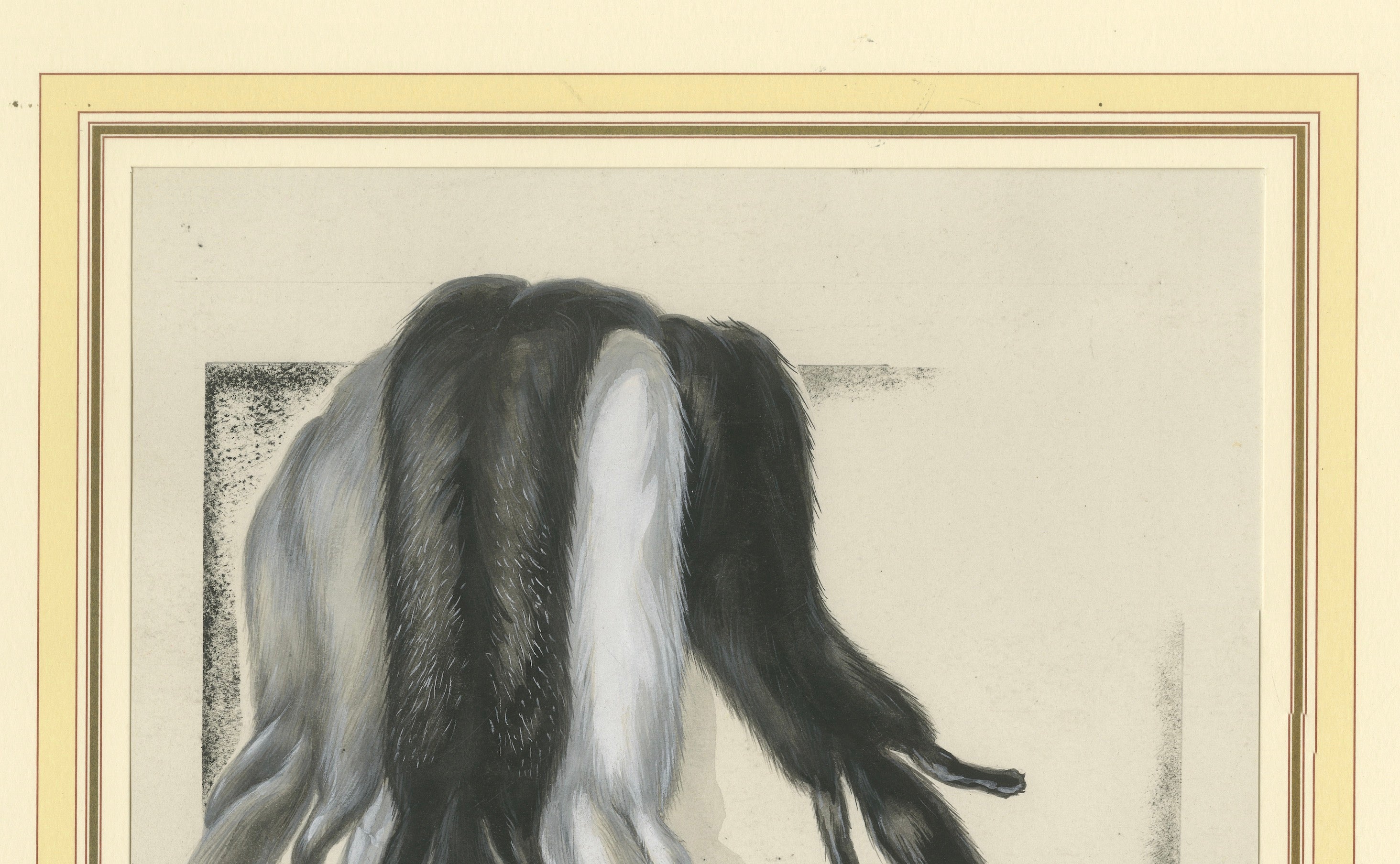 French Art Nouveau Fashion Design of Fur Pelts and Trimmings, c. 1910