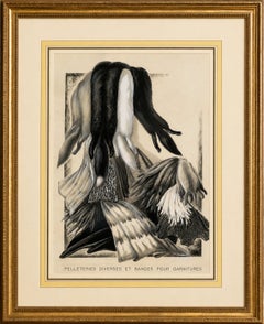 French Art Nouveau Fashion Design of Fur Pelts and Trimmings, c. 1910