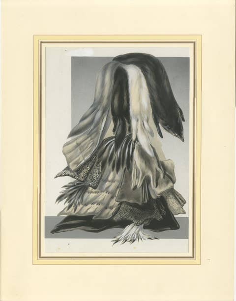 French Art Nouveau Fashion Design of Fur Pelts and Trimmings, c.1910