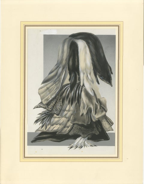 French Art Nouveau Fashion Design of Fur Pelts and Trimmings, c.1910