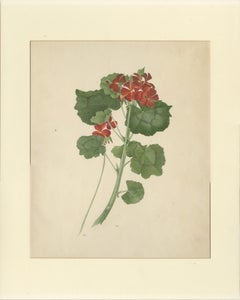 Zwei Stiele mit roten Blüten – Botanische Aquarellzeichnung von A.L., 1819