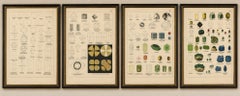 Set of Four Antique Mineralogy & Crystal Chromolithographs by Kenngott, 1888