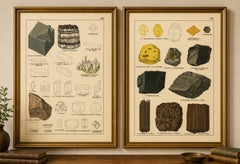 Conjunto de dos cromolitografías antiguas sobre mineralogía: fluorita, ámbar y carbón, 1888