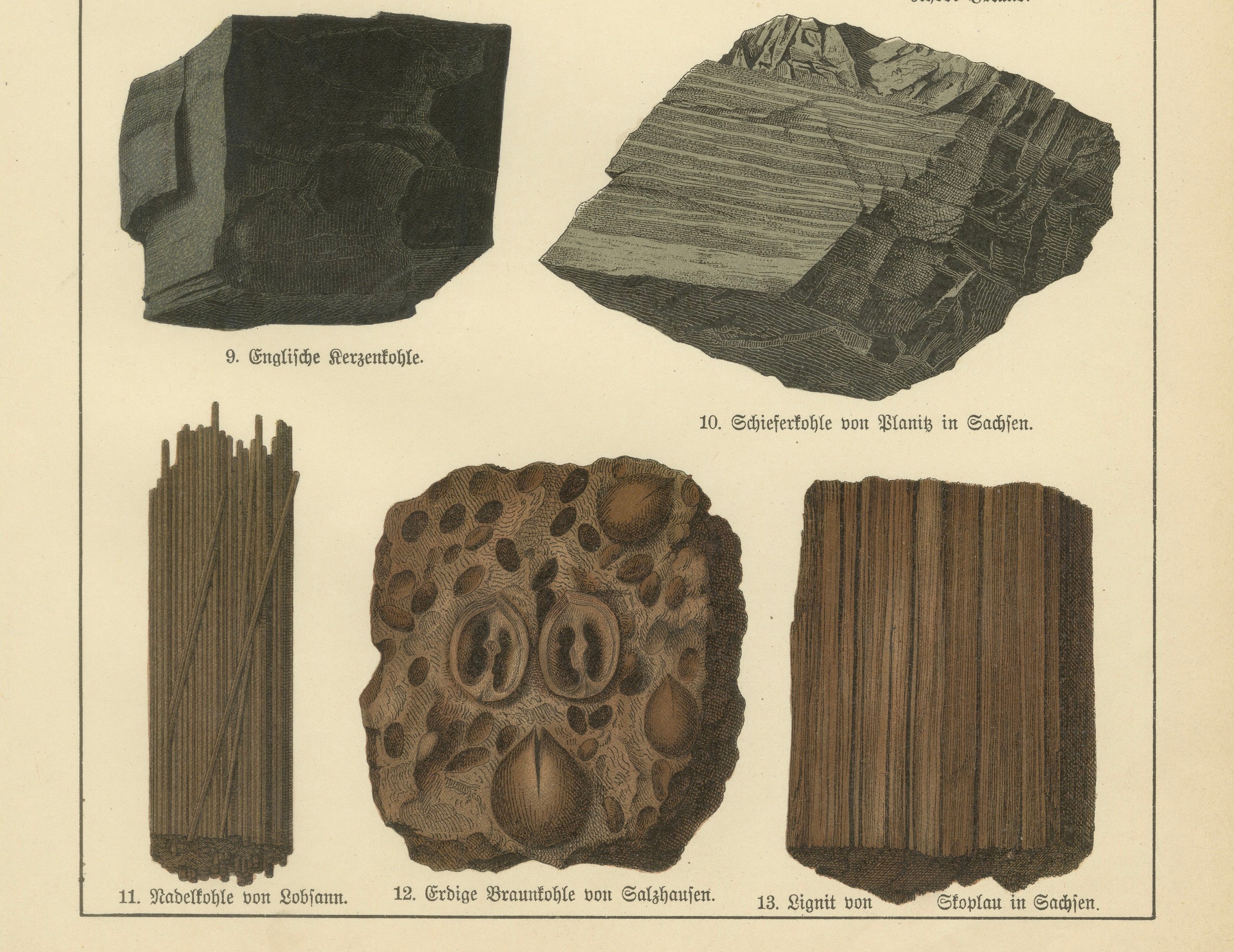 Set of Two Antique Mineralogy Chromolithographs, Fluorite, Amber & Coal, 1888