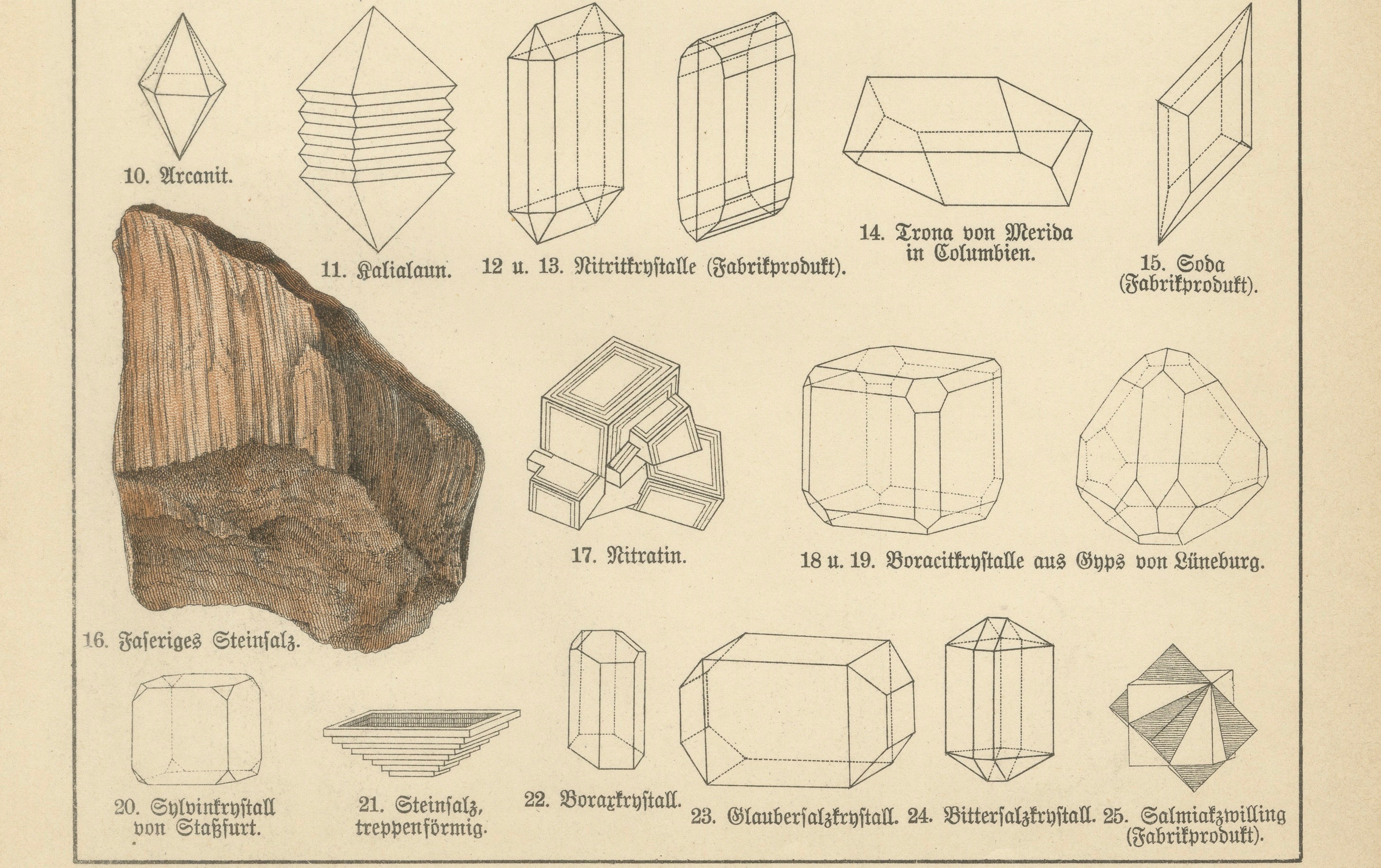 Set of Two Antique Mineralogy Chromolithographs, Fluorite, Amber & Coal, 1888