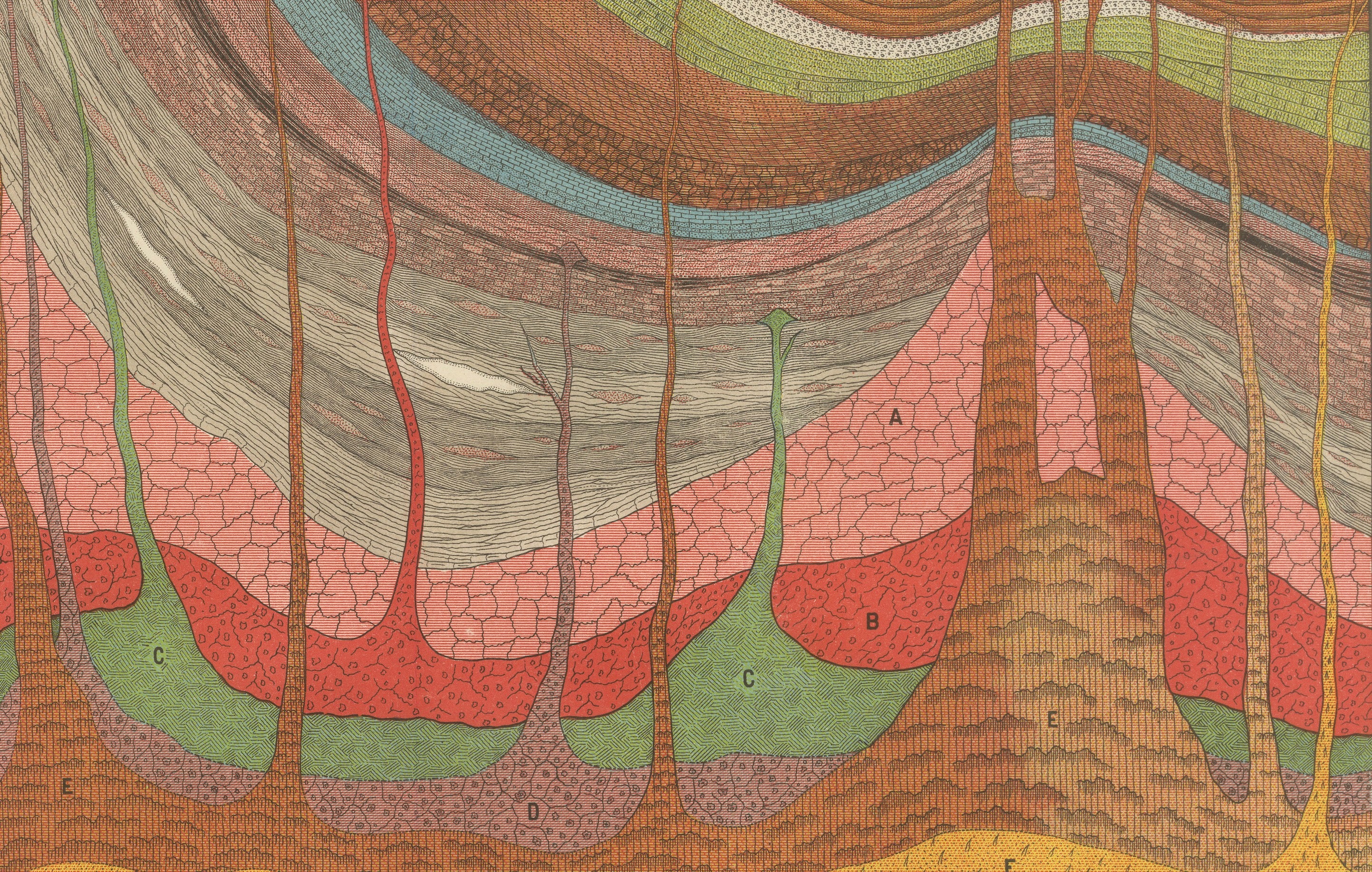 Set of Two Antique Geological Cross-Section Chromolithographs, 1888