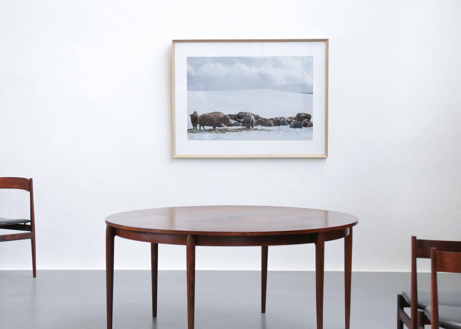 Photographie originale « Buffalo » de Maxime Bastide, photographe français en vente 3