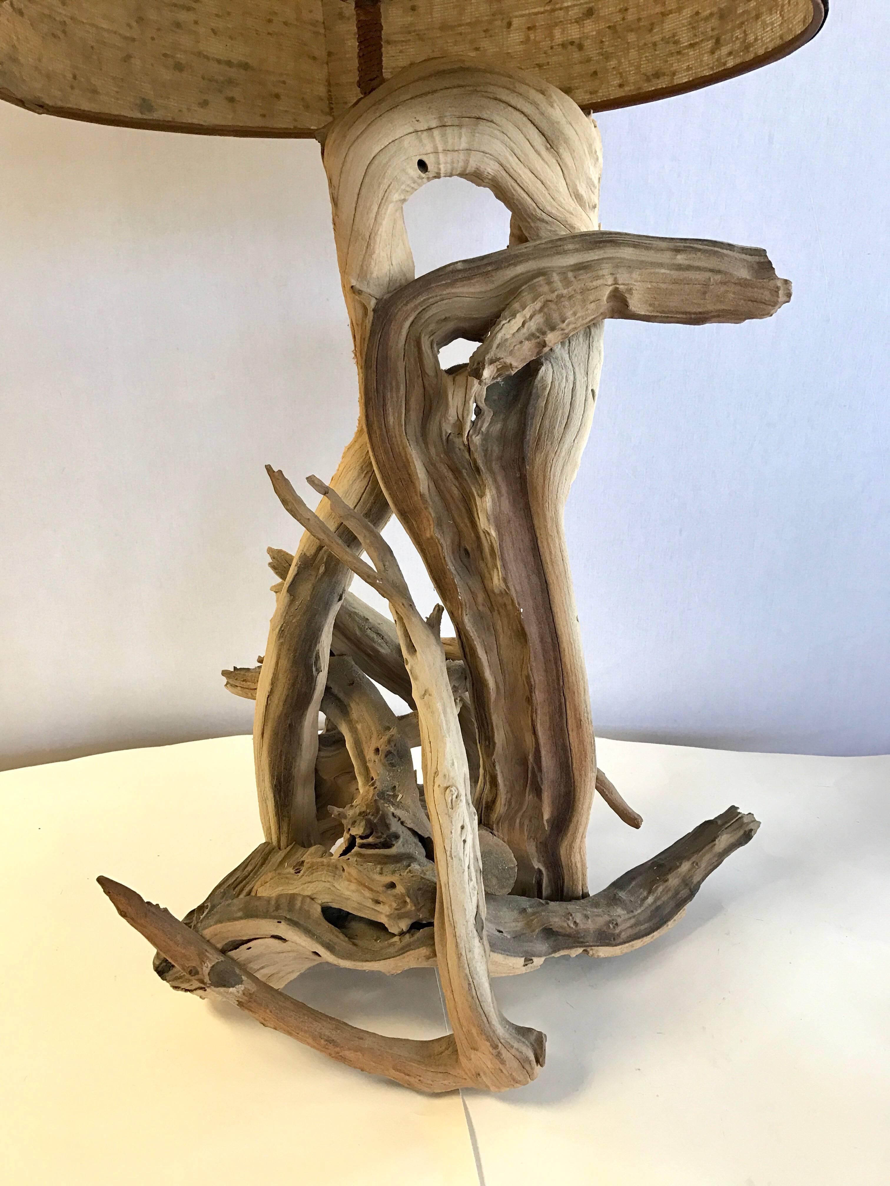 driftwood lamps for sale