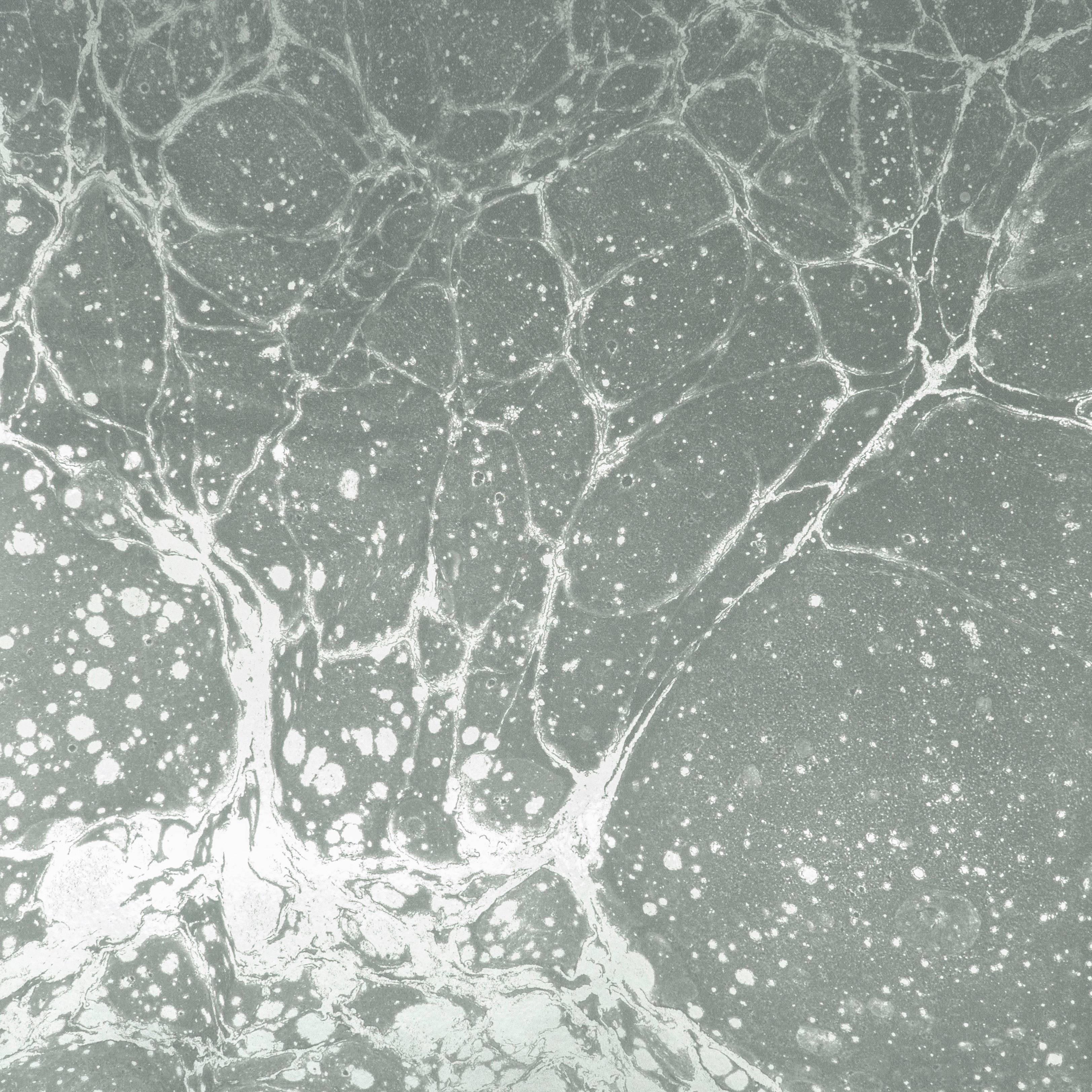 Lunaris Smoke Wallpaper or Wall Mural in Gunmetal and Silver For Sale