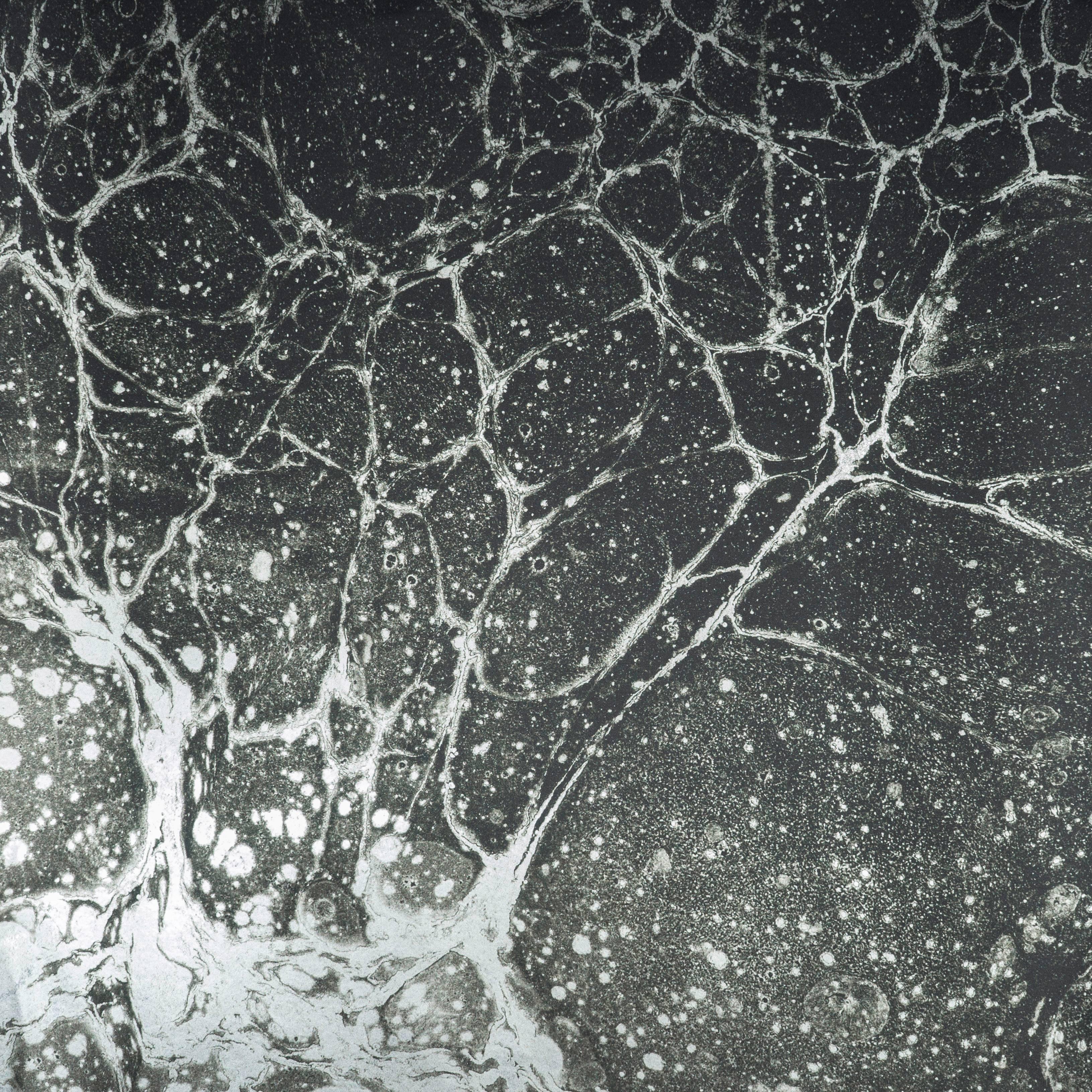 Lunaris Midnight Wallpaper or Wall Mural in Black and Silver For Sale