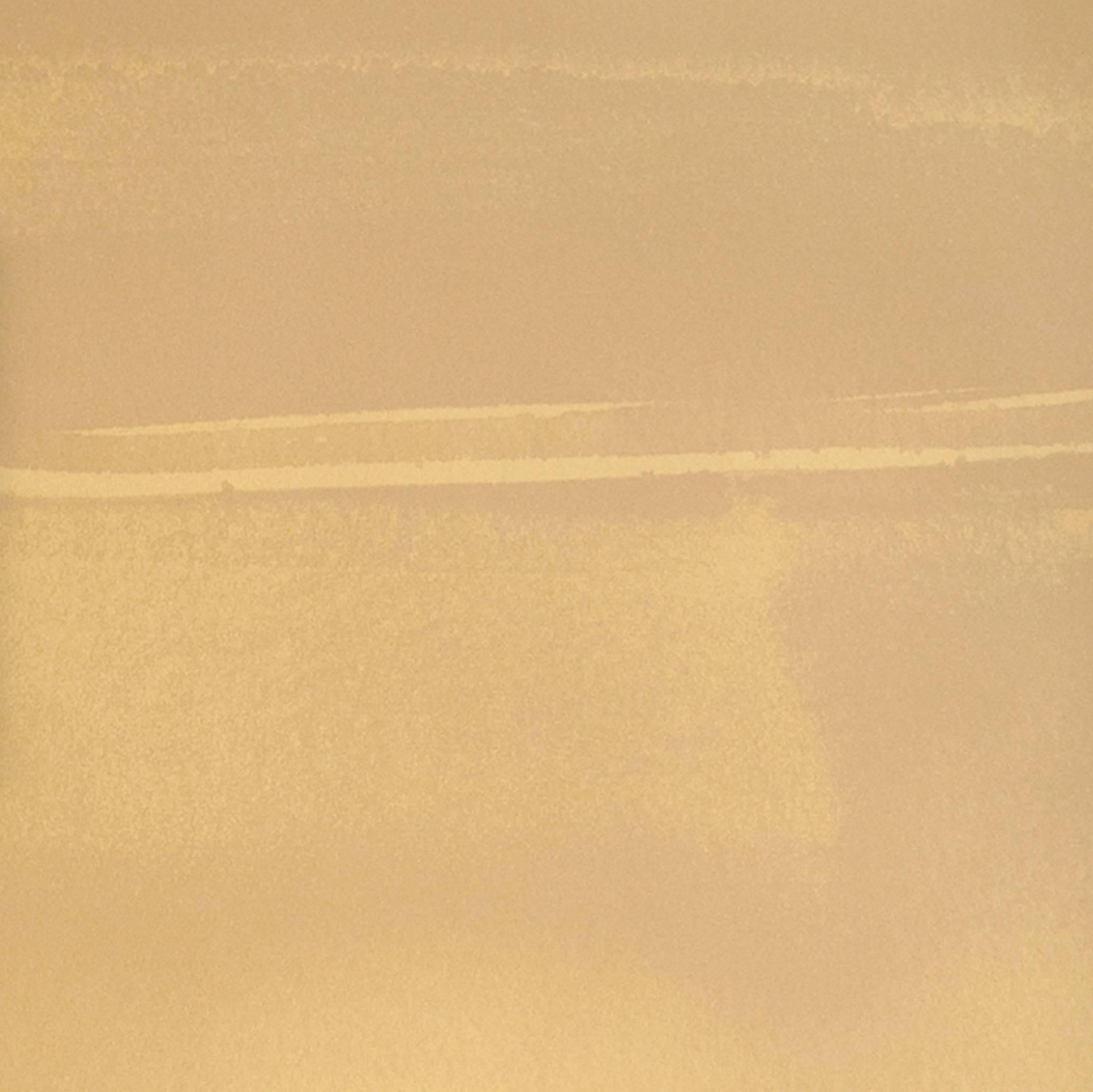 Cirrus Horizon Wallpaper or Wall Mural in Dusty Gold Metallic For Sale