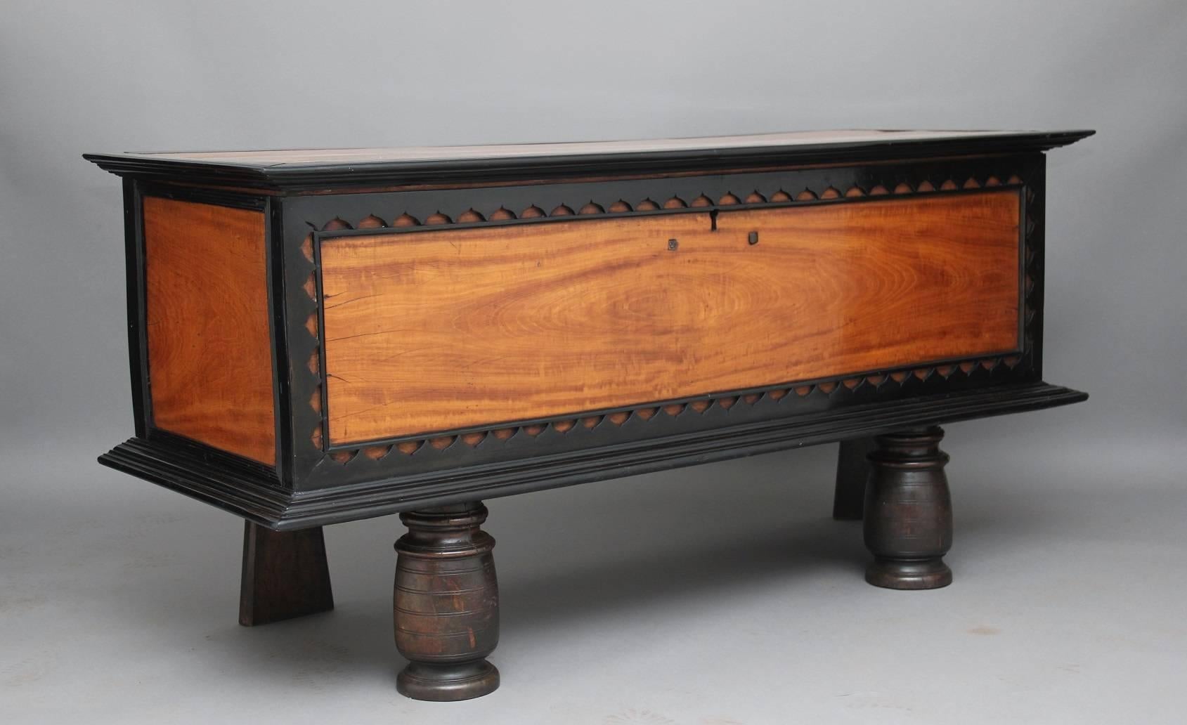 A large 18th century Ceylonese satinwood and ebony coffer / trunk, the hinged top opening to reveal a smaller lidded compartment, the front and sides of the trunk decorated with an outline of a delicate scalloped design, with the trunk sitting on