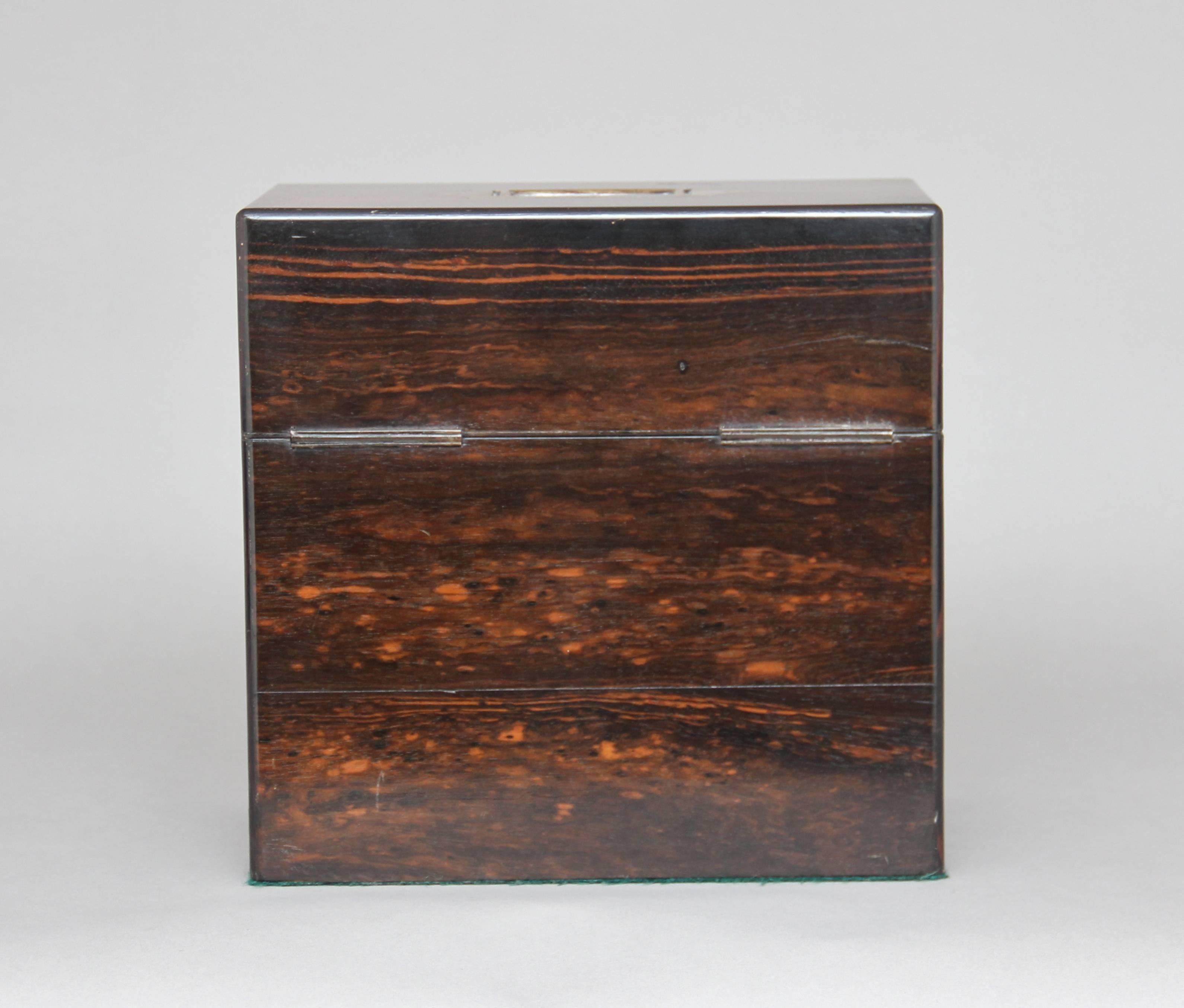 Late 19th Century 19th Century Coromandel Decanter Box For Sale