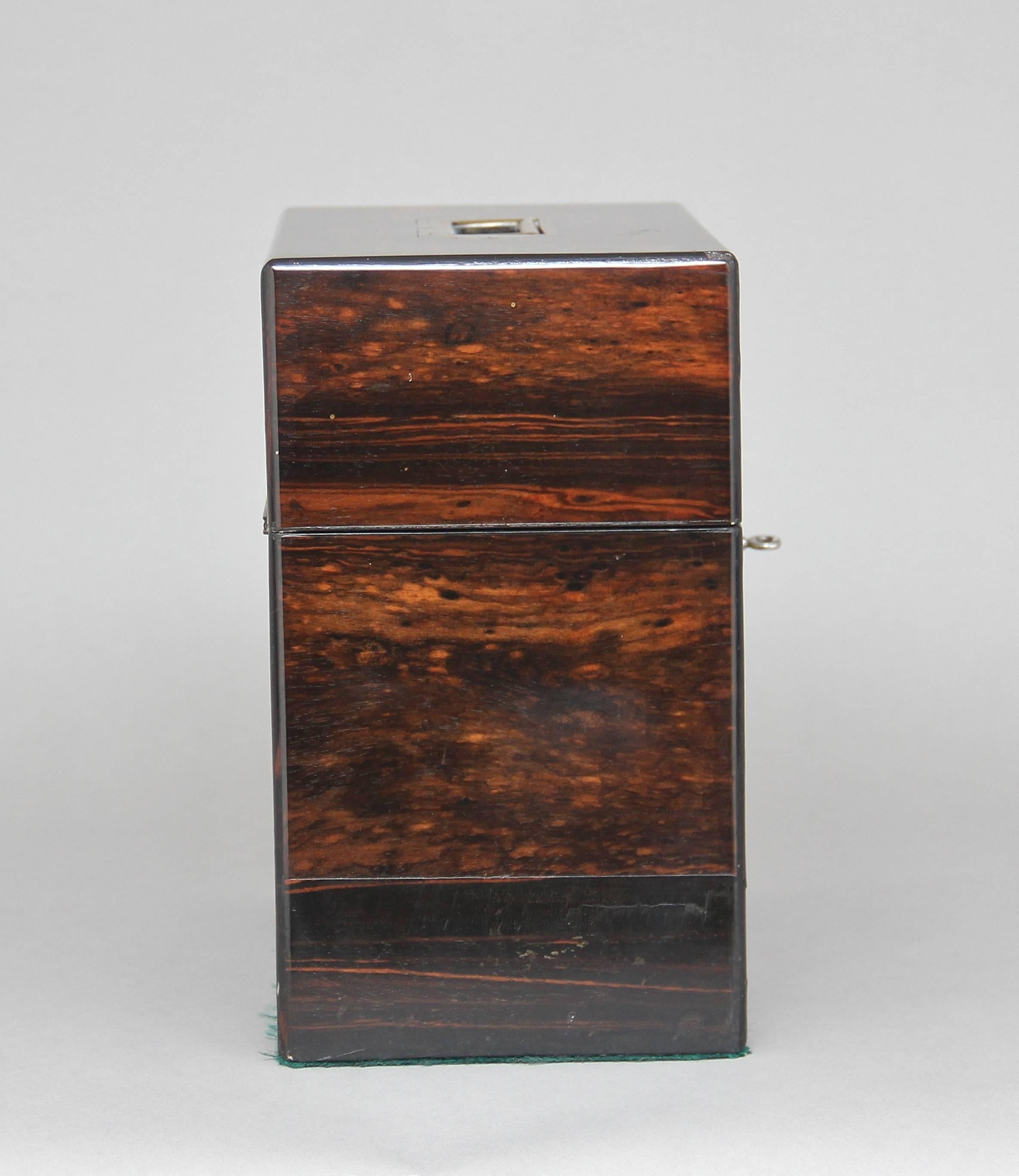 19th Century Coromandel Decanter Box In Good Condition For Sale In Martlesham, GB