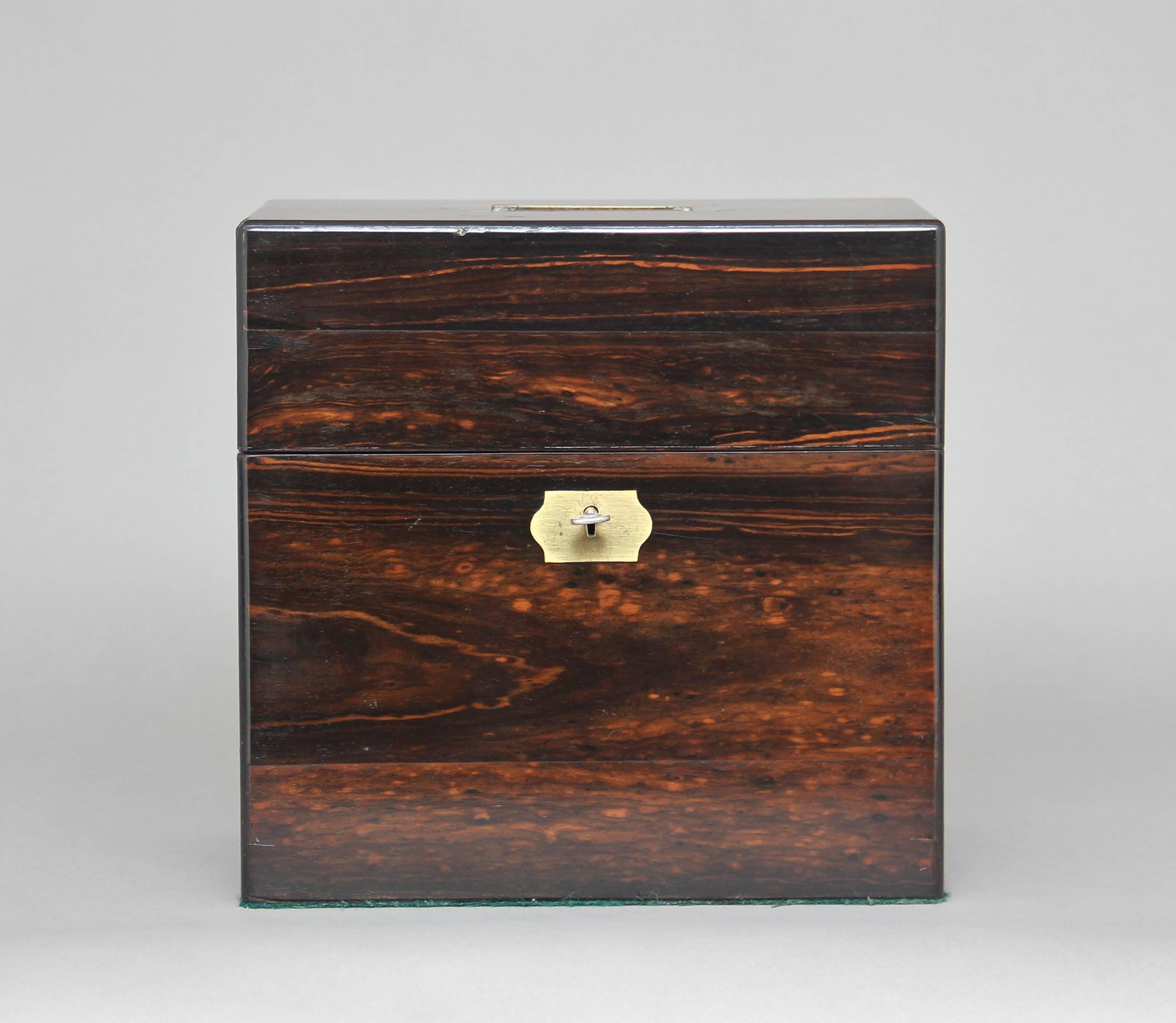 English 19th Century Coromandel Decanter Box For Sale