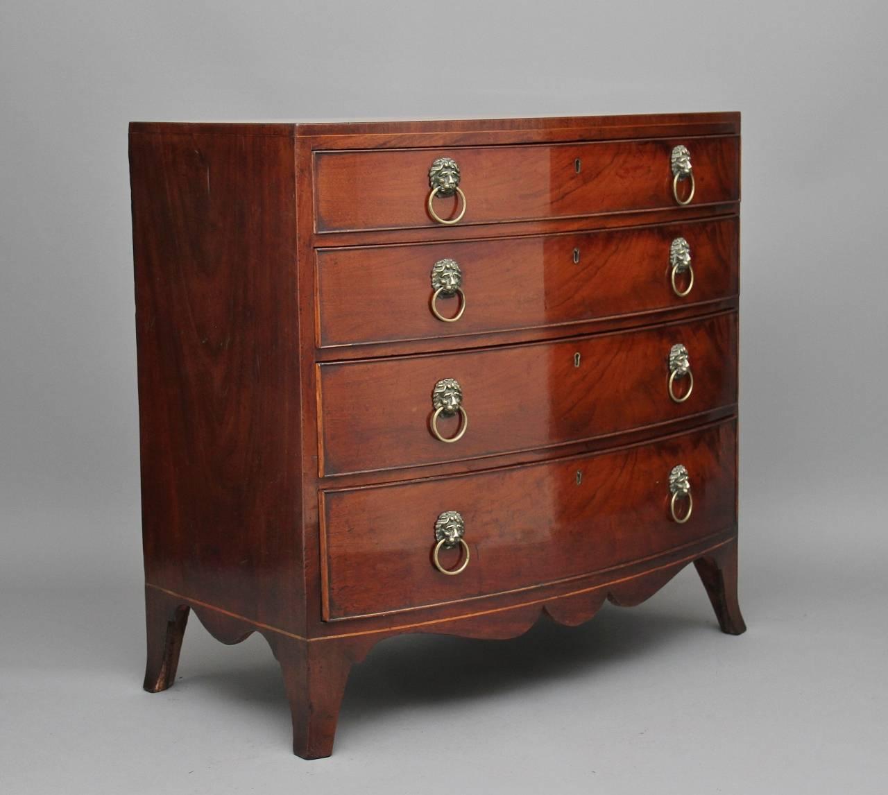 Early 19th century mahogany bowfront chest of drawers of good proportions, the top inlaid, with four long graduated oak lined drawers with original brass lion head handles, with a shaped apron standing on splay feet, circa 1800.