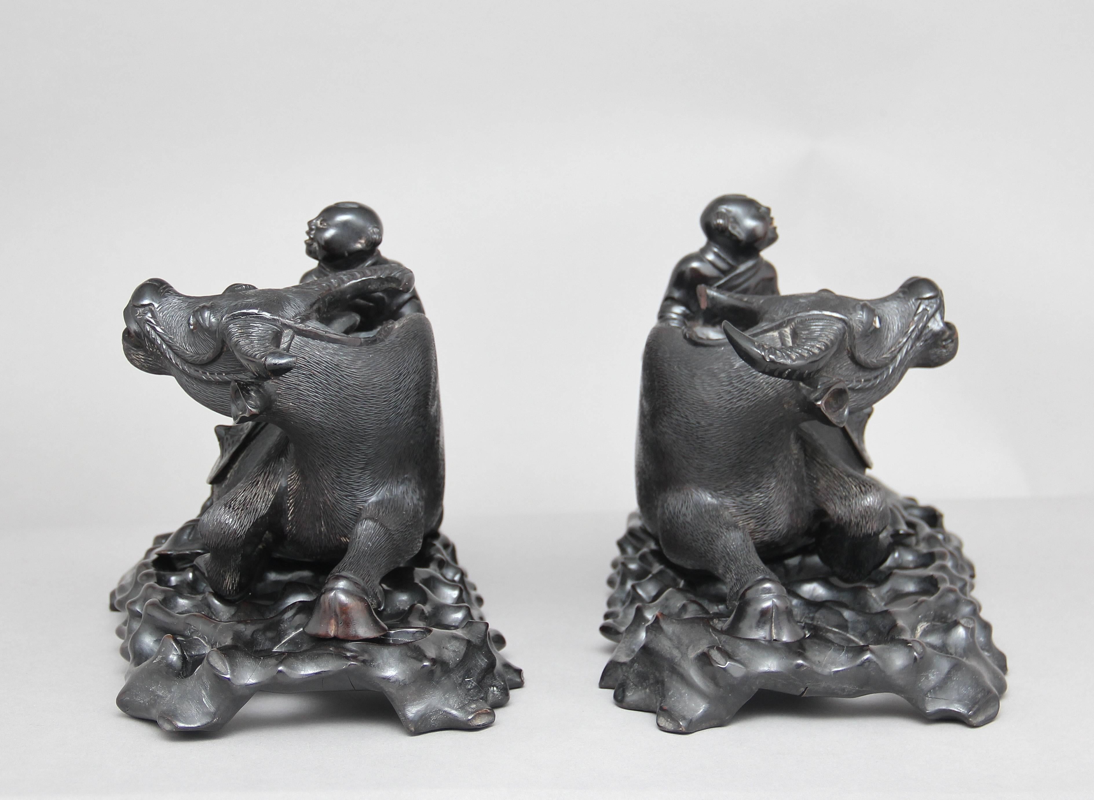 Hardwood Pair of 20th Century Chinese Wood Carvings For Sale