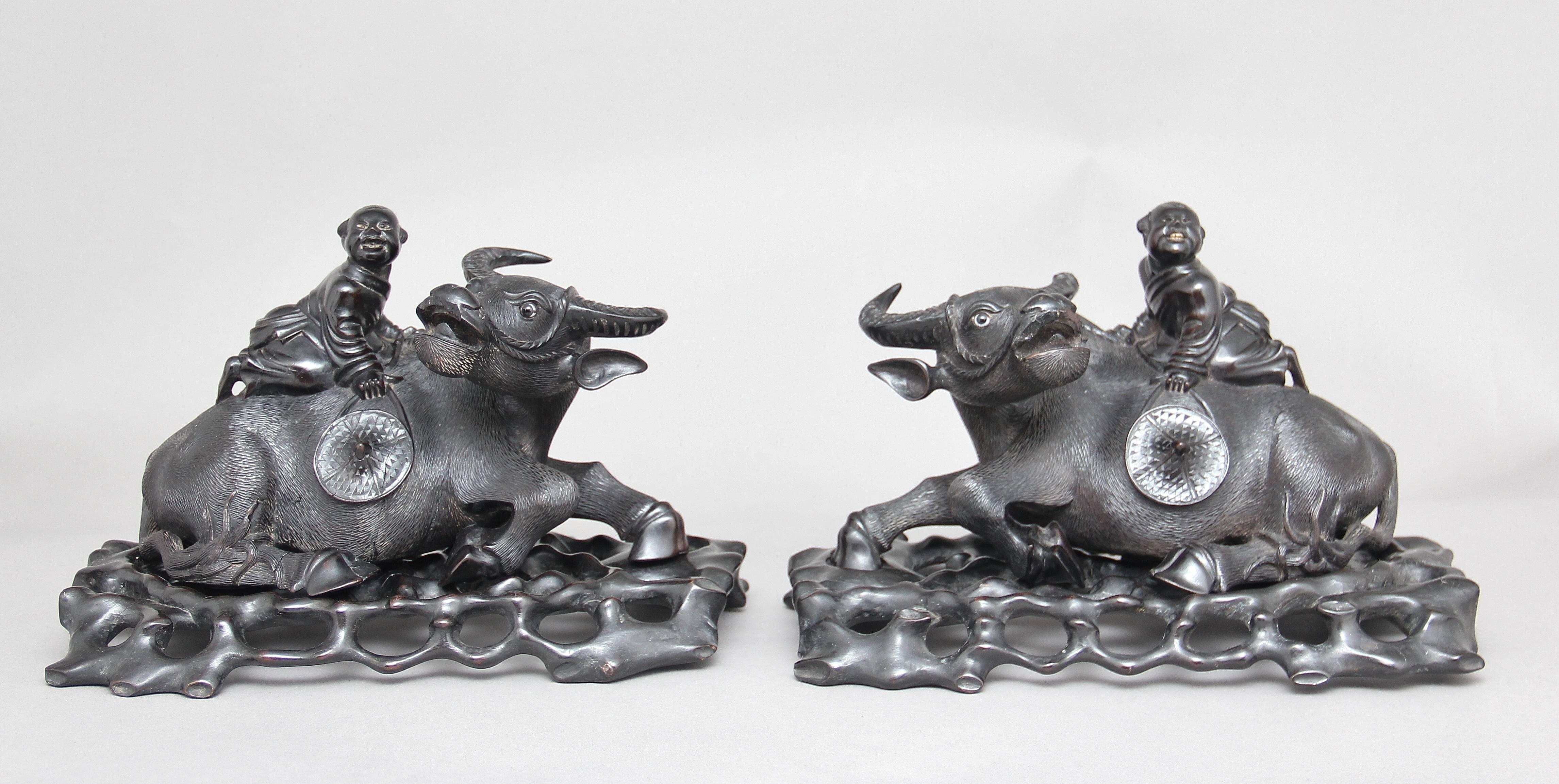A pair of 20th century Chinese wood carvings of a boy on the back of a water buffalo holding a hat, the water buffalo standing on the original carved and pierced naturalistic stands, carved from an ebonised hardwood. There is some minor damage in