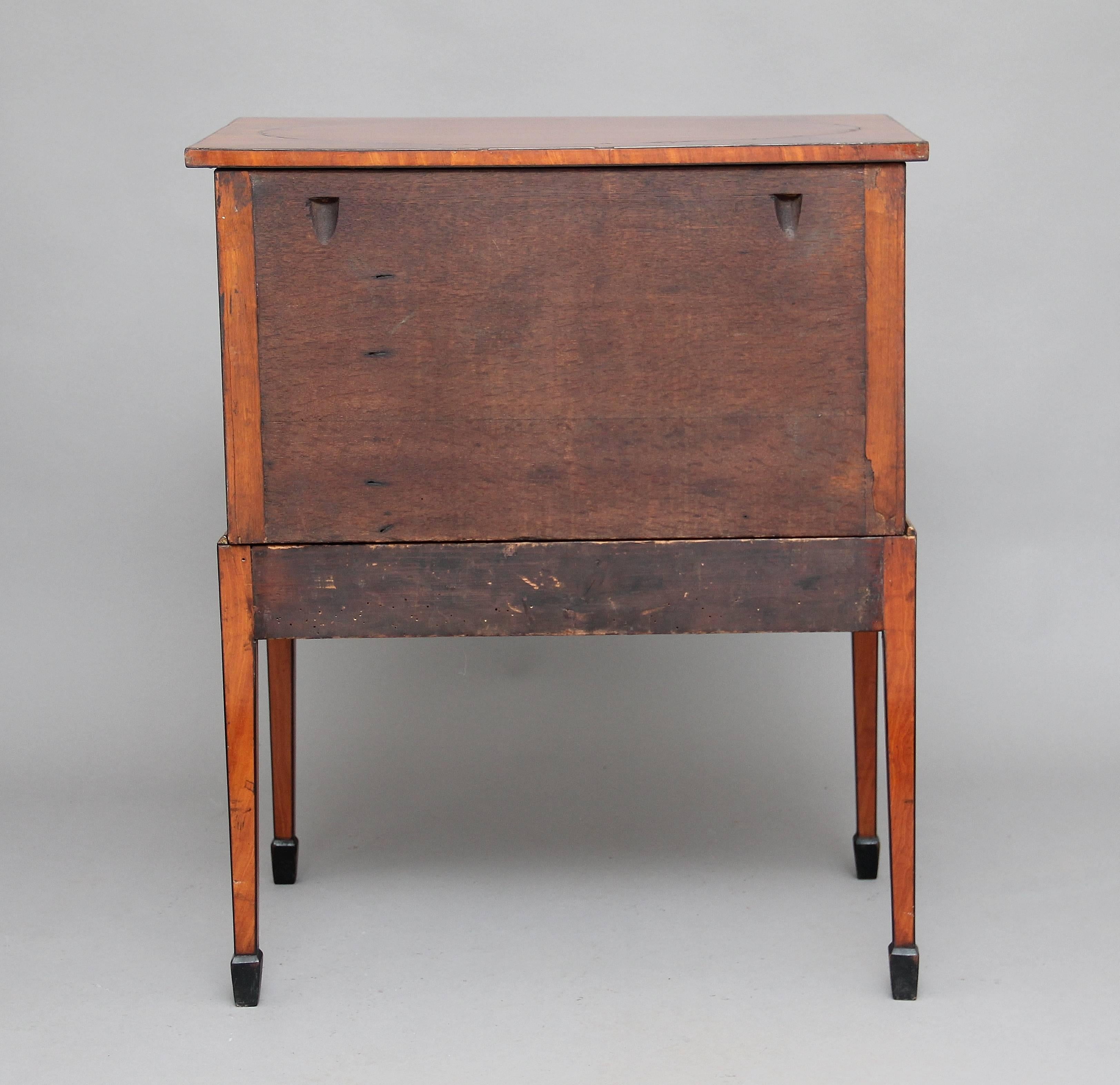 Early 19th Century Satinwood Cabinet 3
