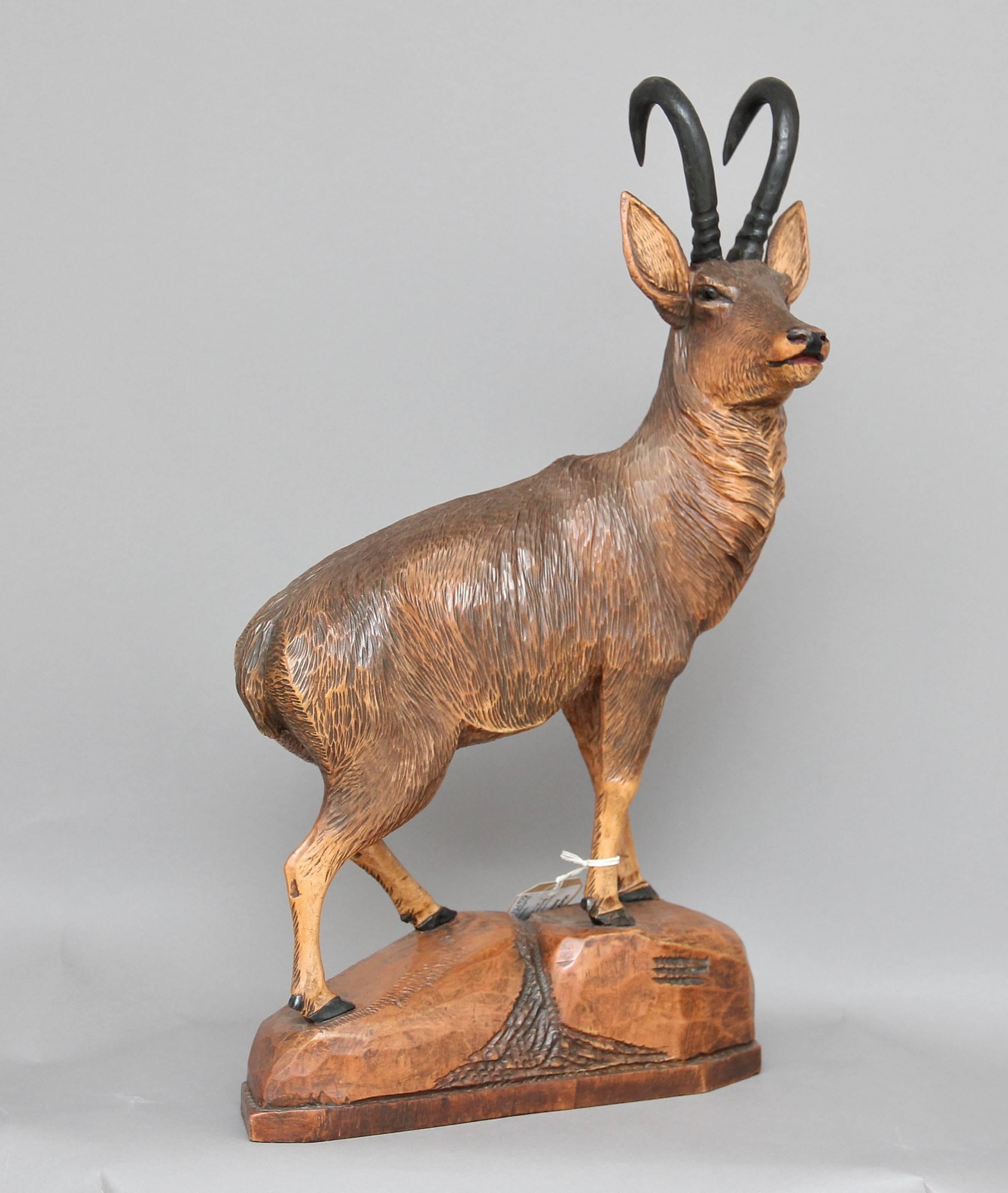 19th Century Black Forest Carving of an Ibex 3