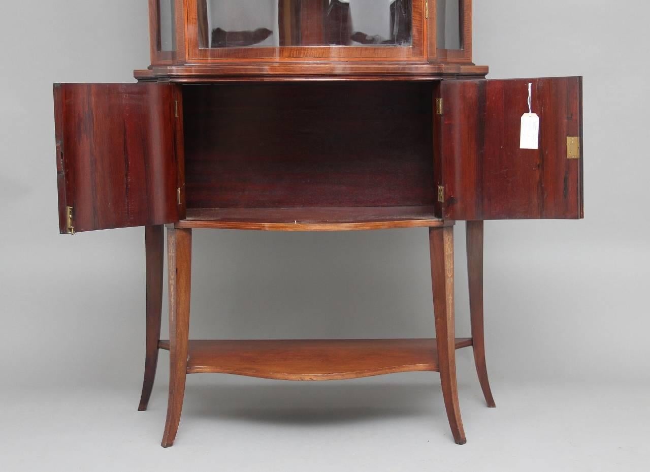 English 19th Century Mahogany Display Cabinet
