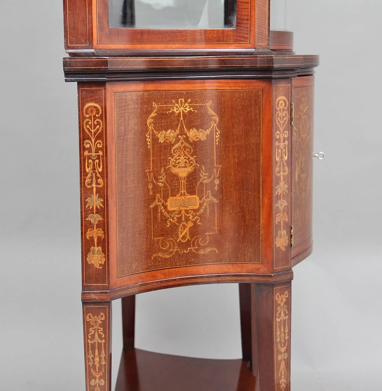 19th Century Mahogany Display Cabinet 2