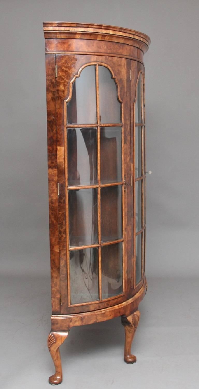 English Early 20th Century Walnut Bowfronted Display Cabinet