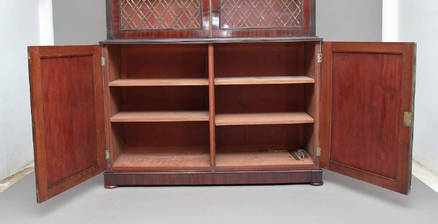 Early 19th Century Large Regency Mahogany Bookcase For Sale